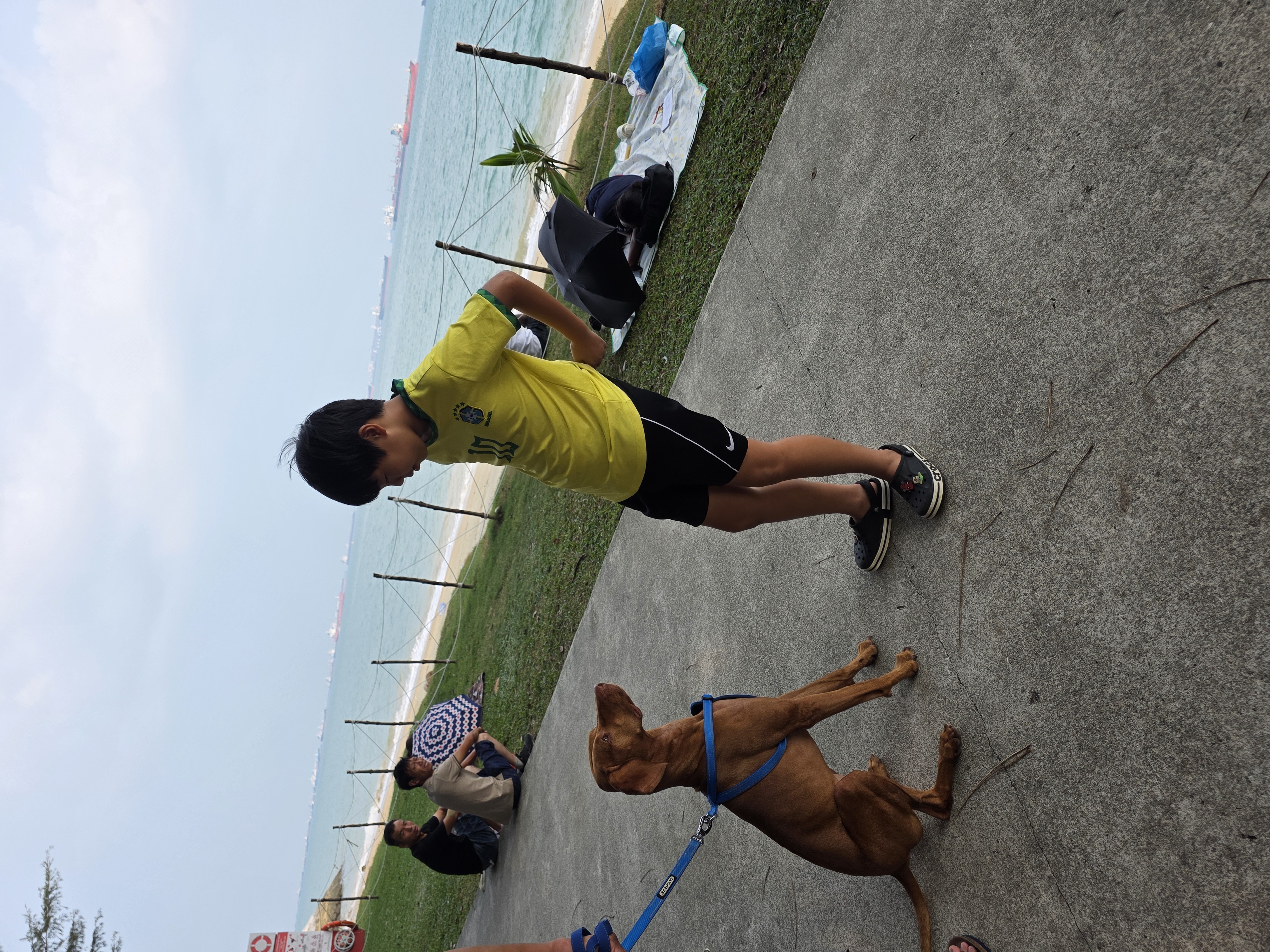 image-13
