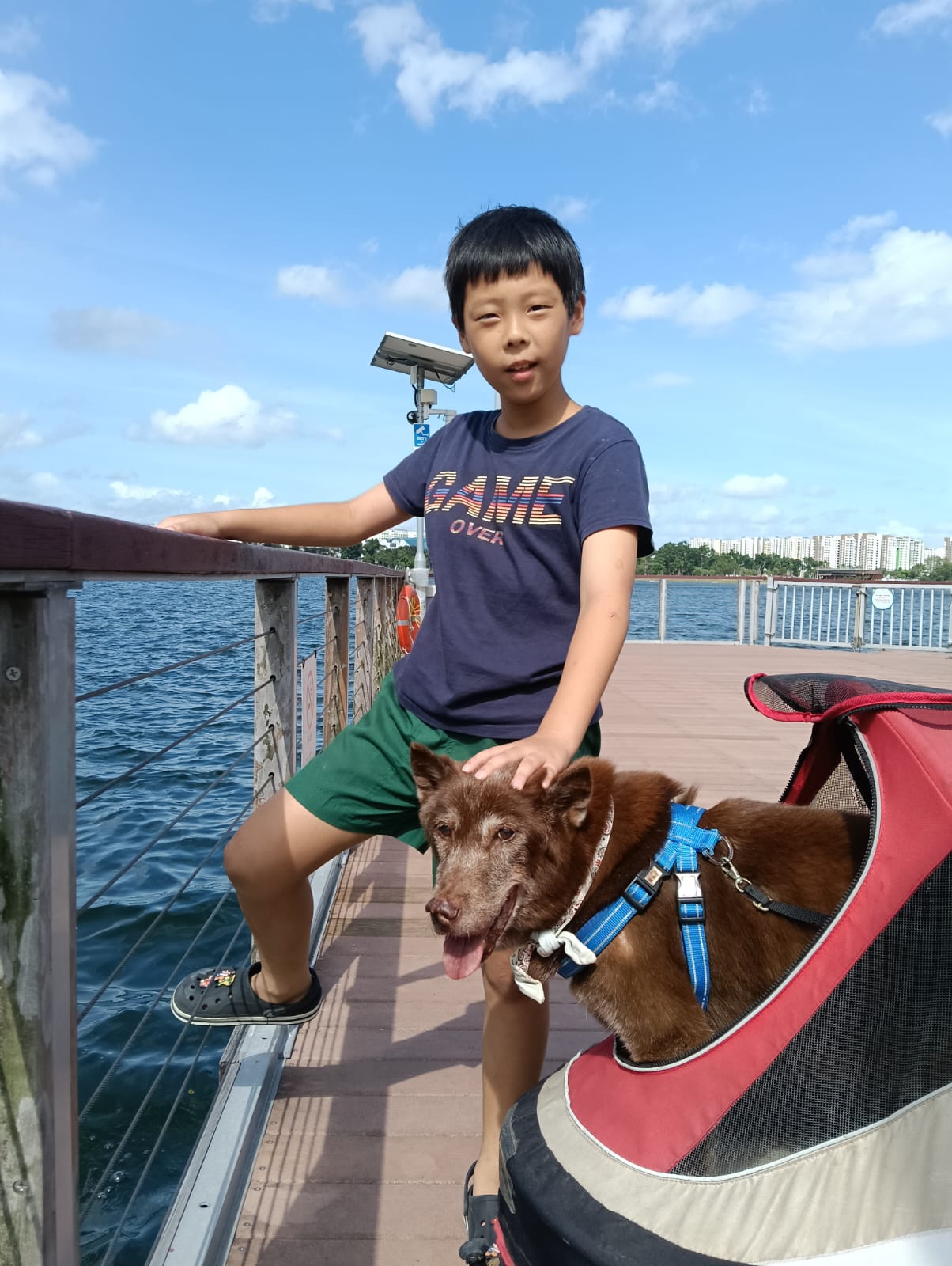 image-5