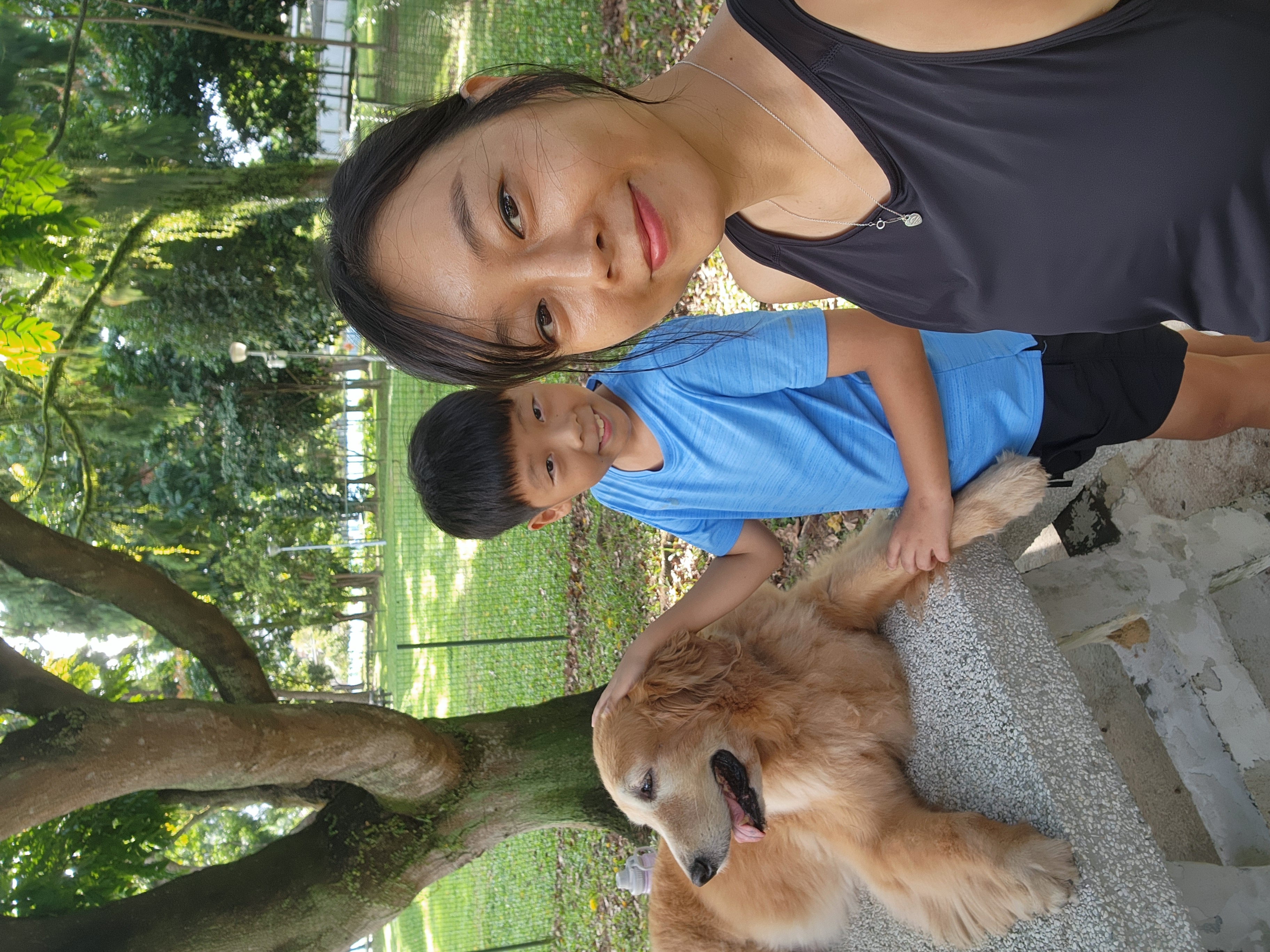 image-4