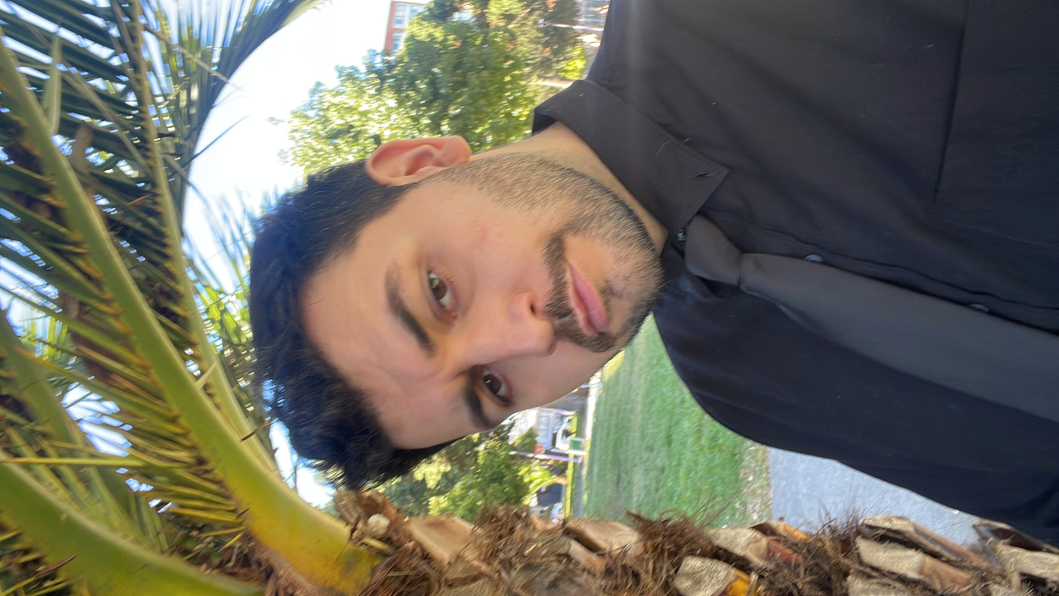 image-3