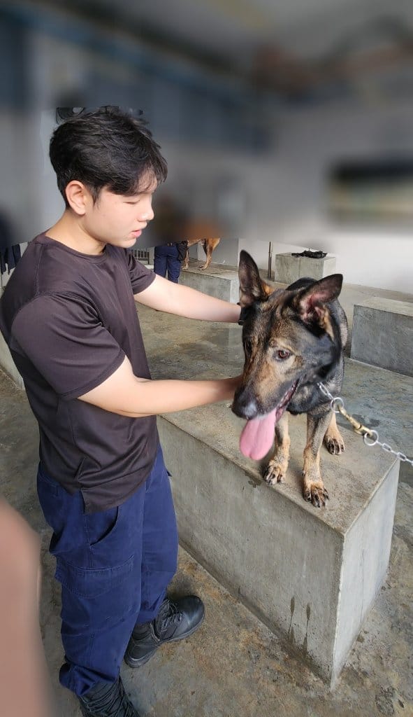 image-3