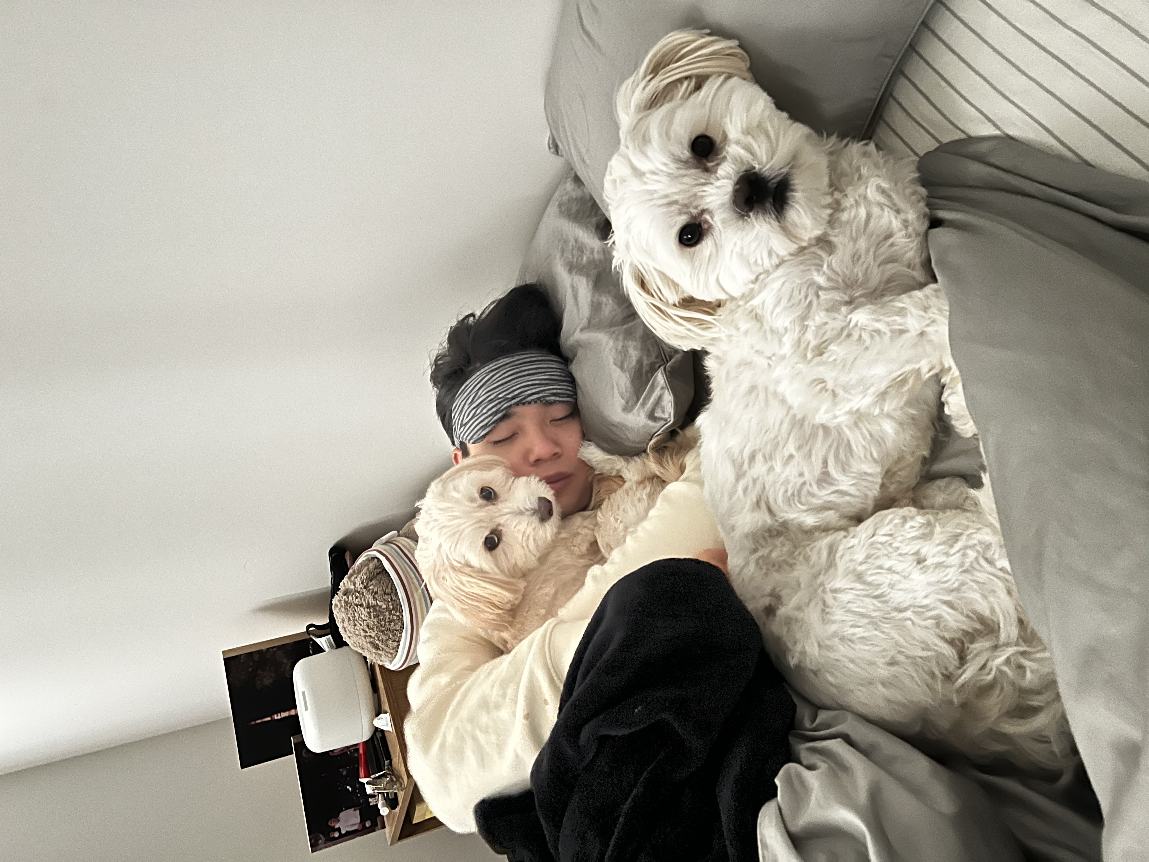 image-8