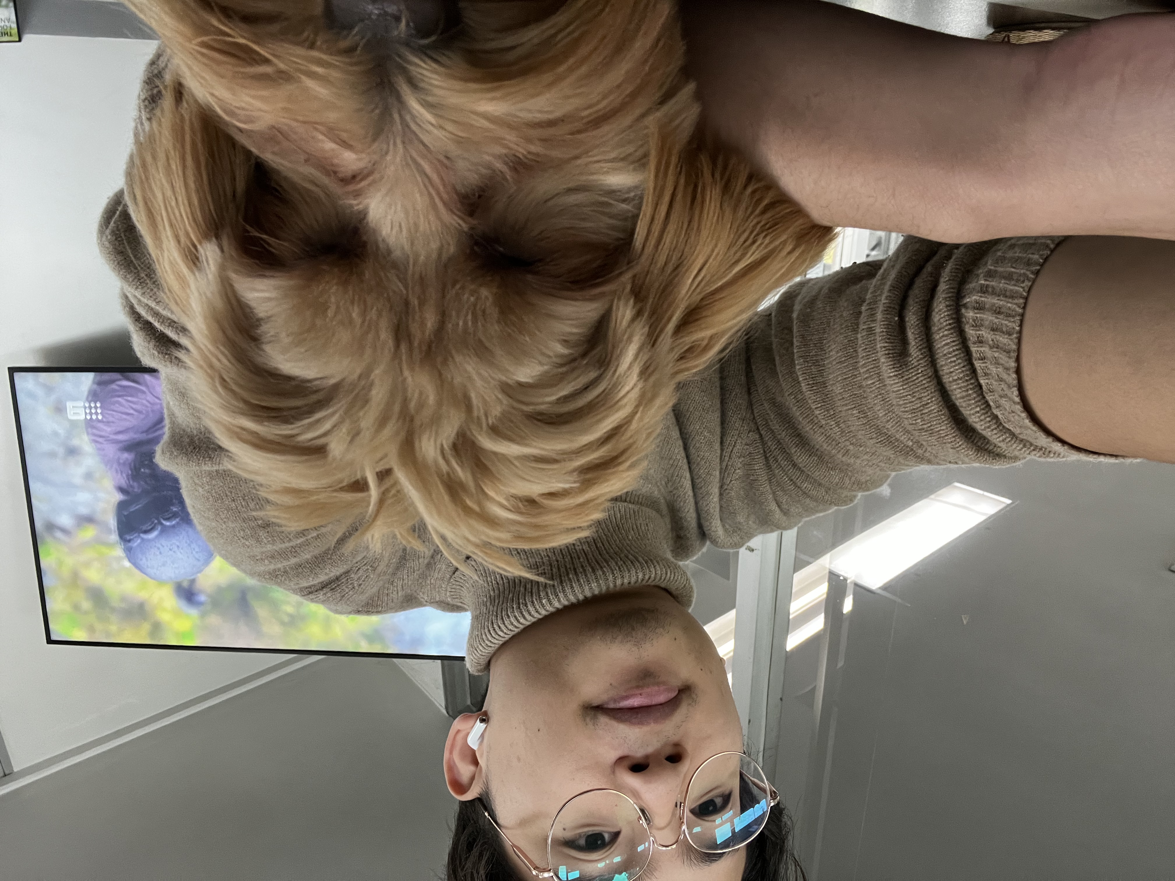 image-4