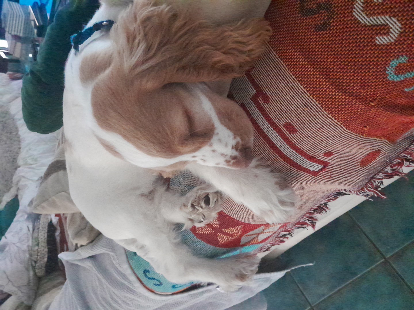 image-5