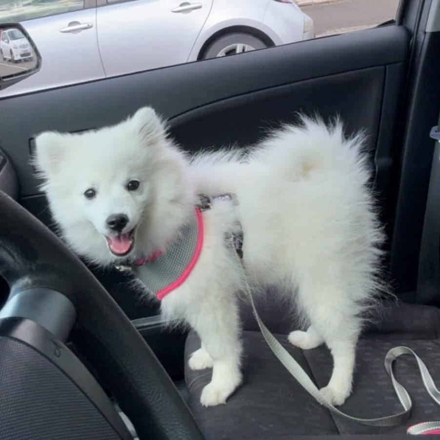 yuki