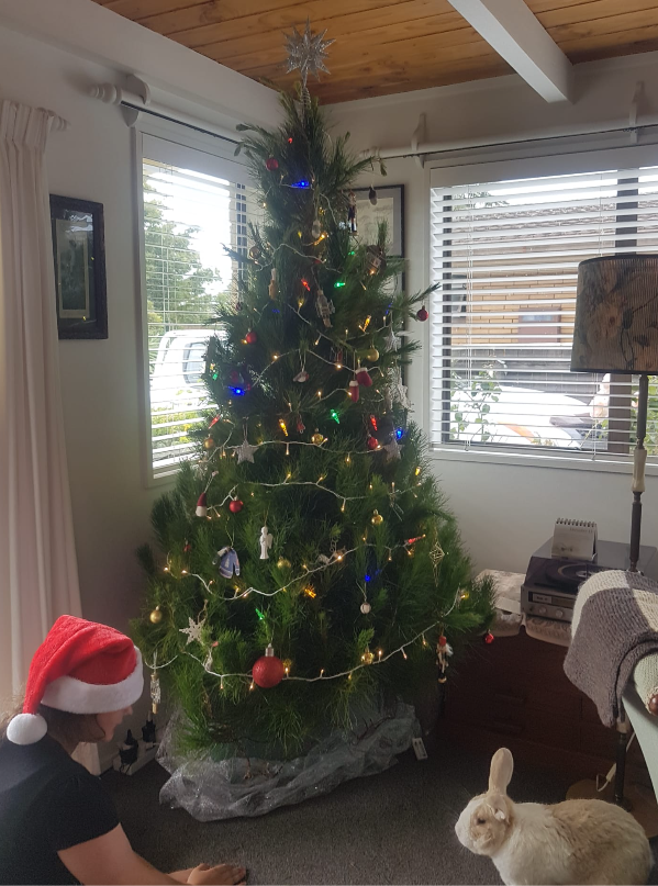 image-5