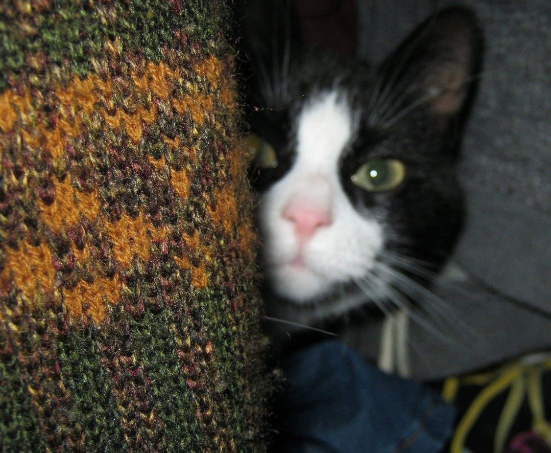 image-11