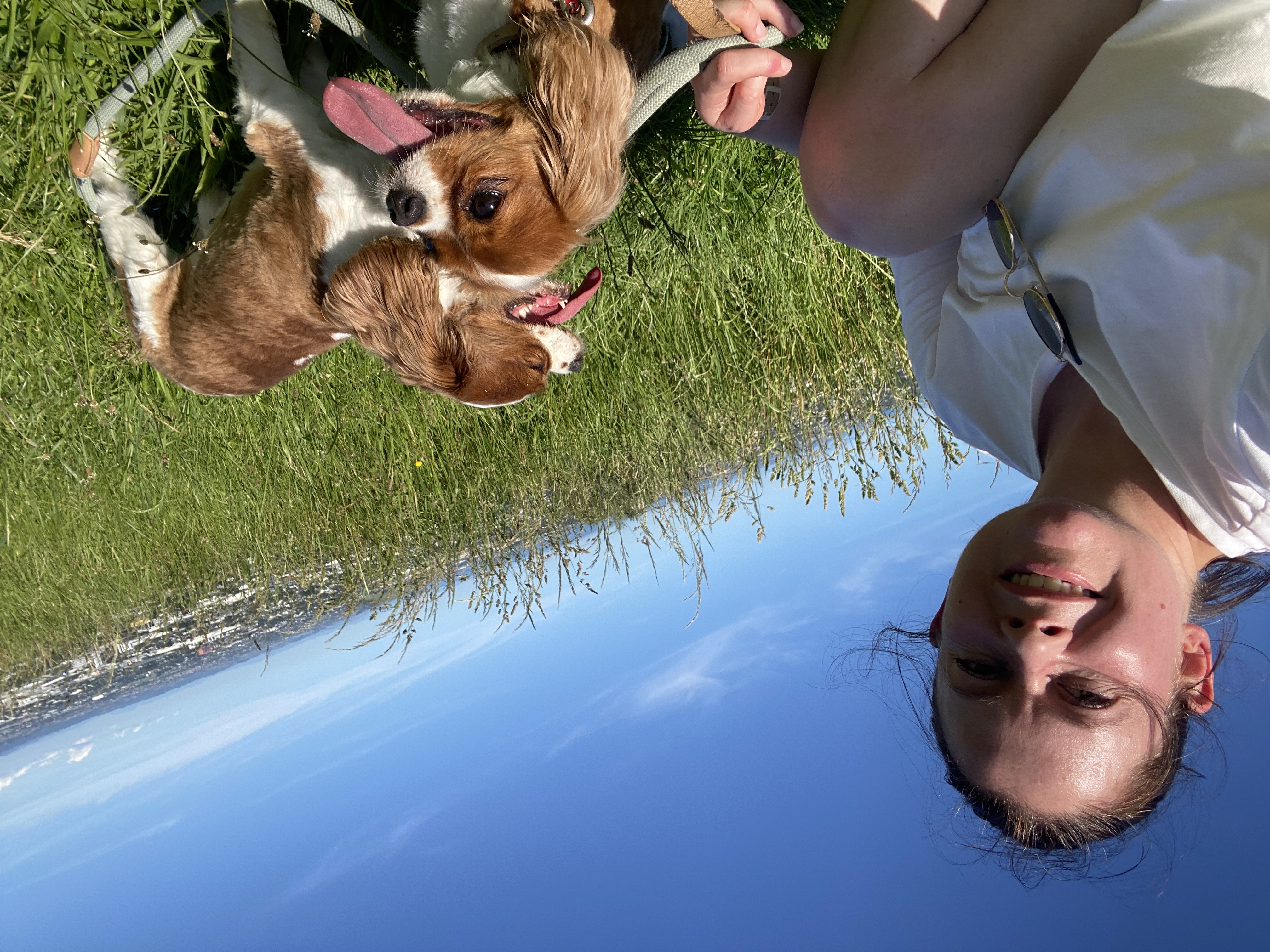 image-6