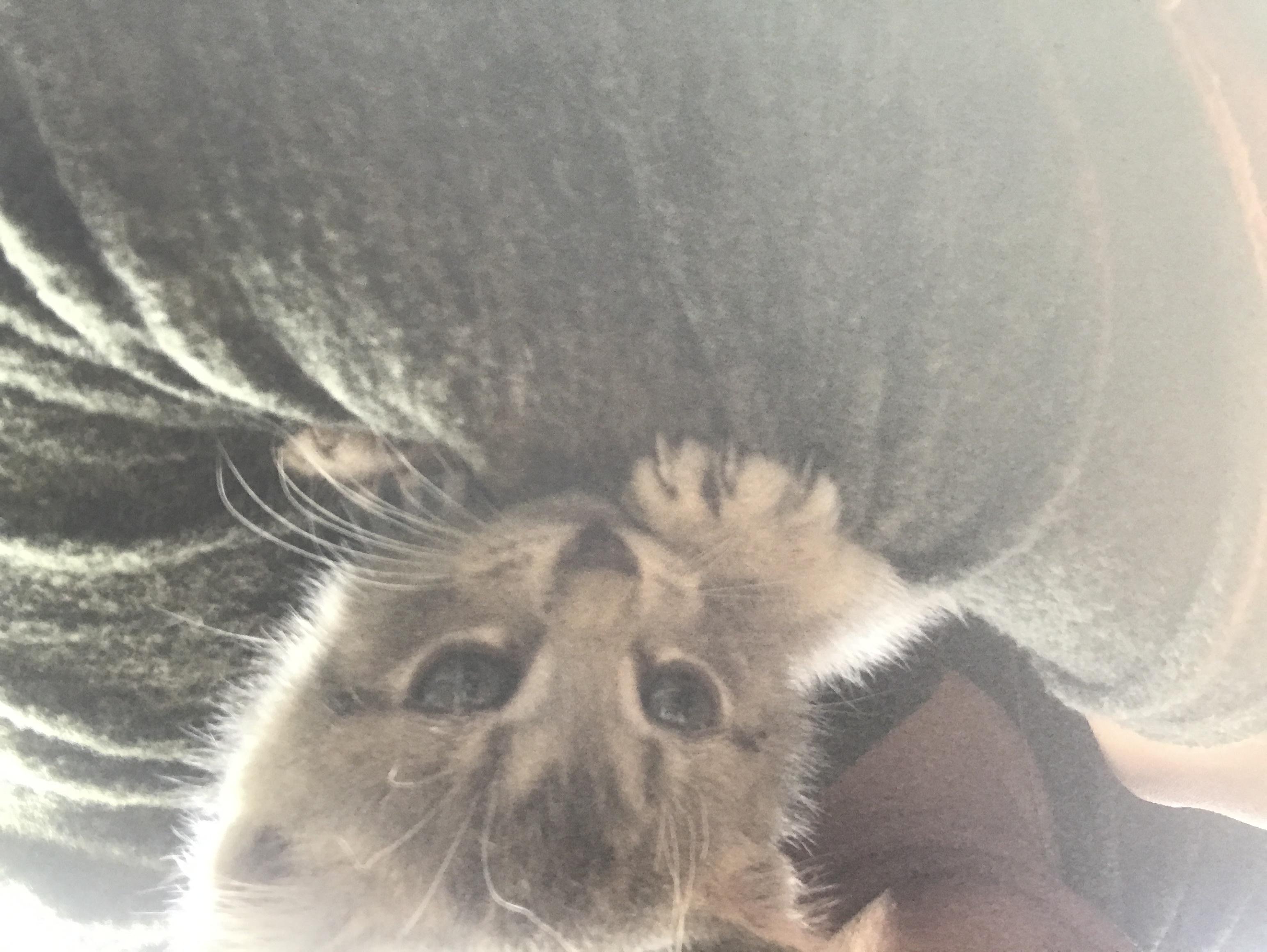 image-6