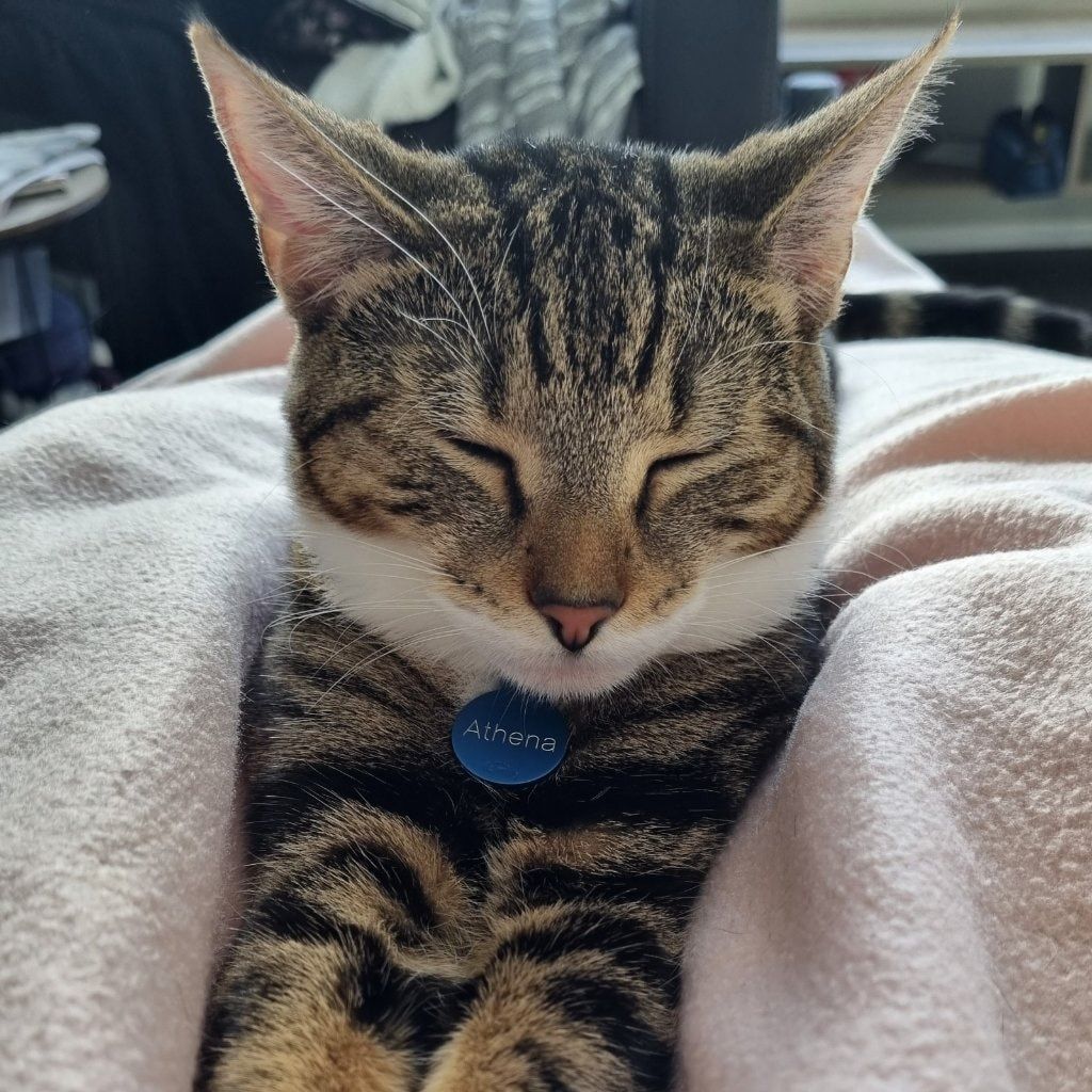 Athena