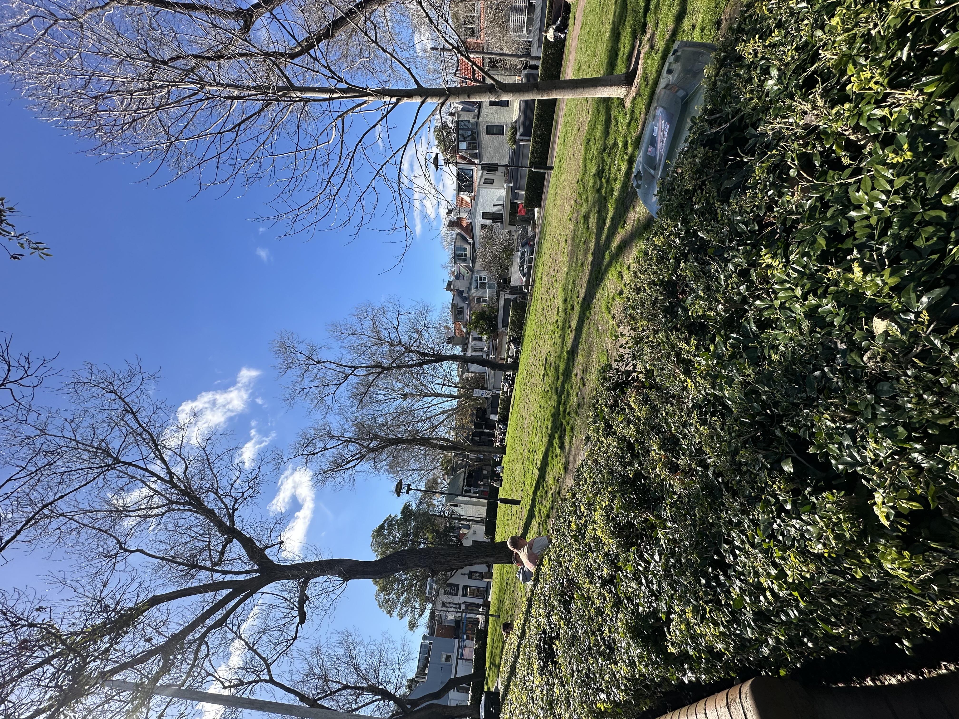 image-17