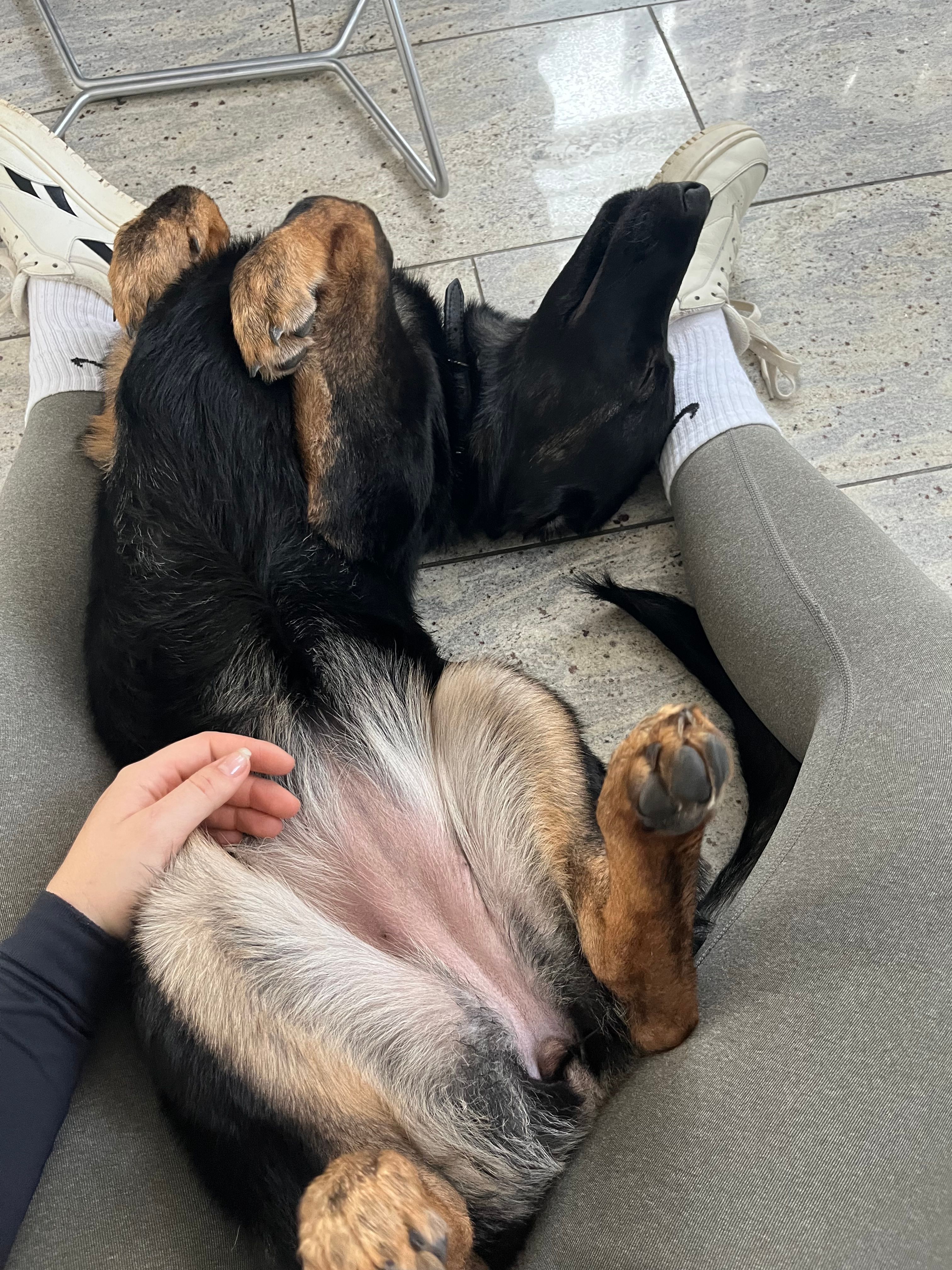 image-2