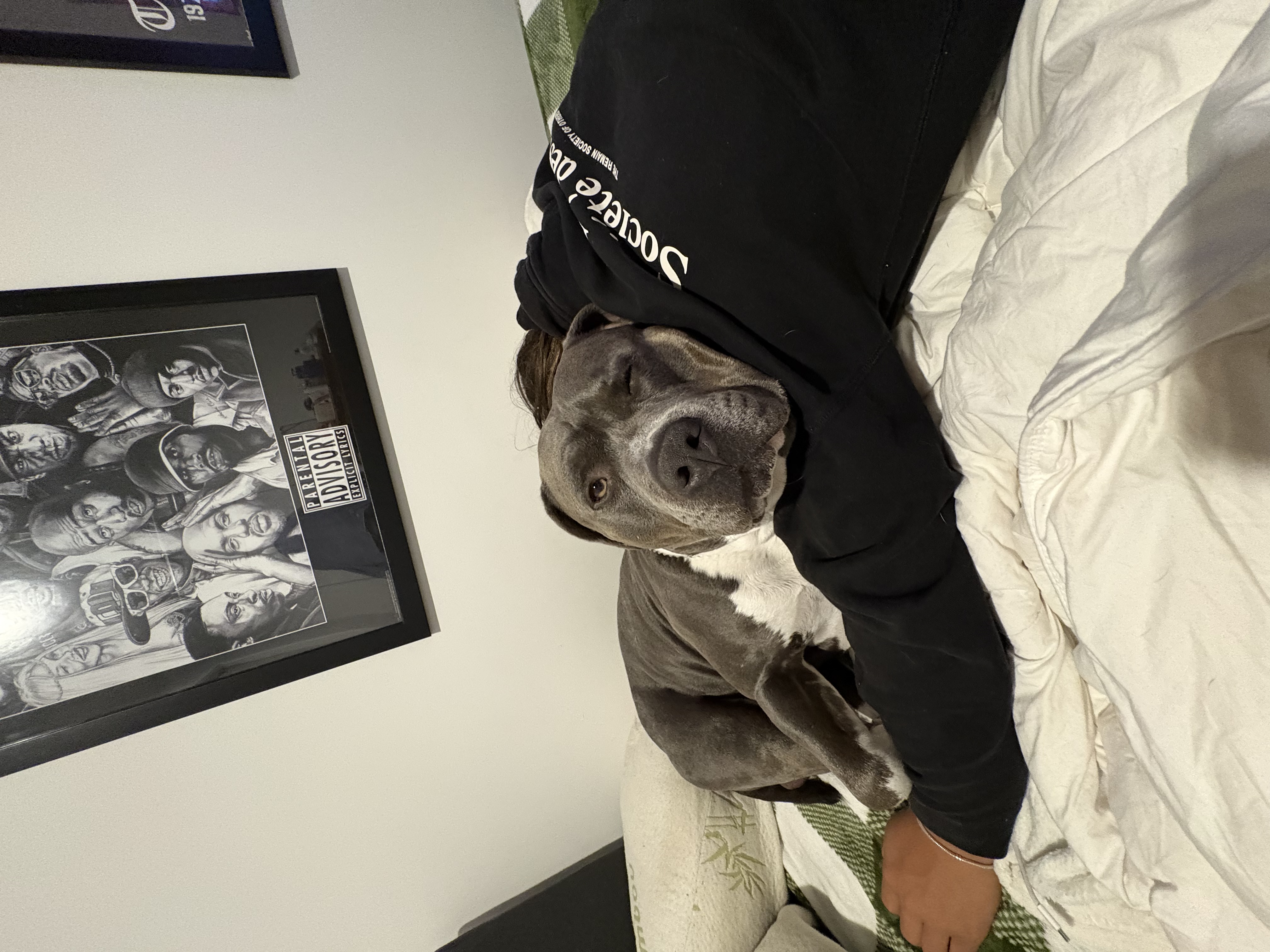 image-9