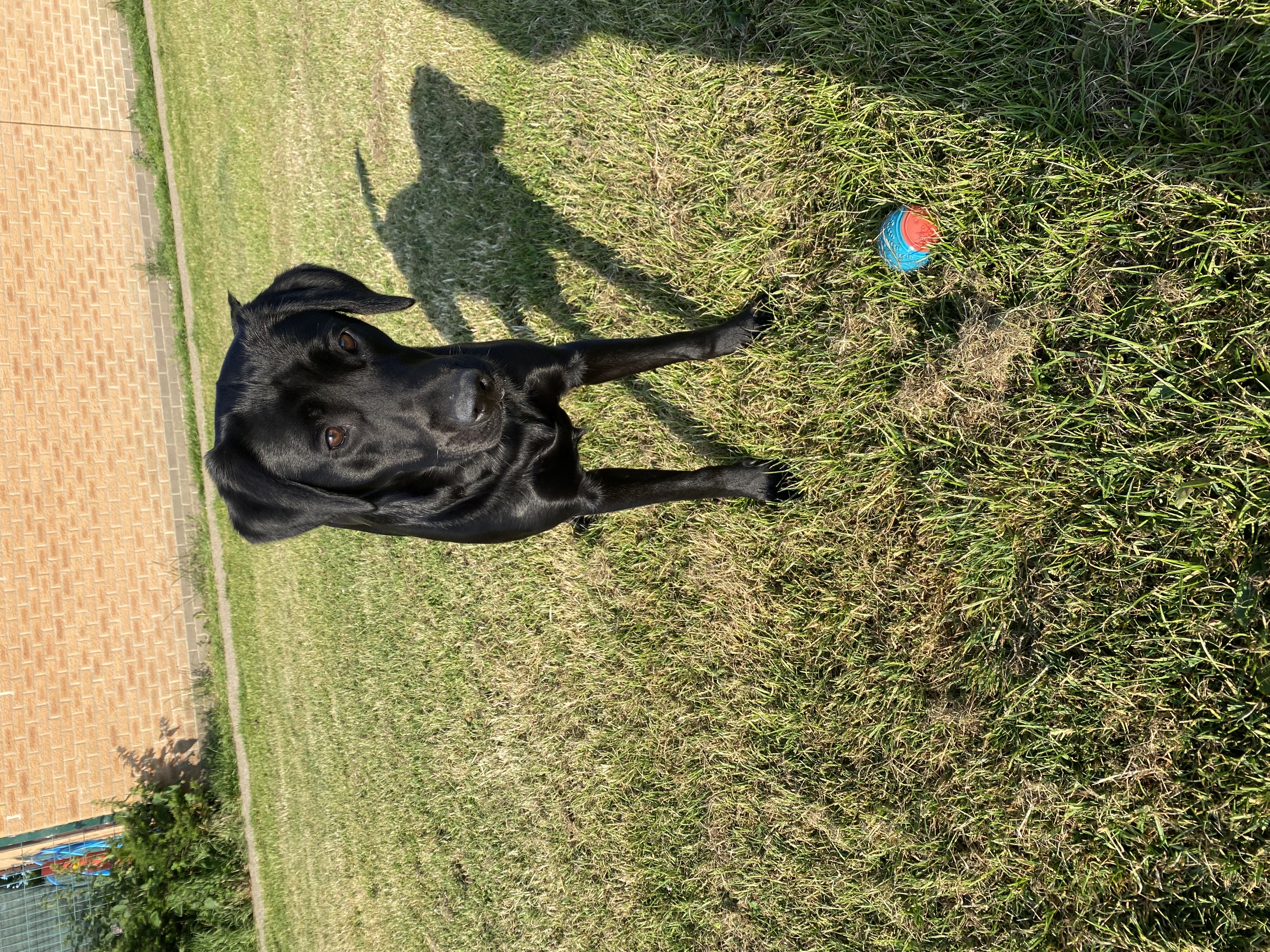 image-6