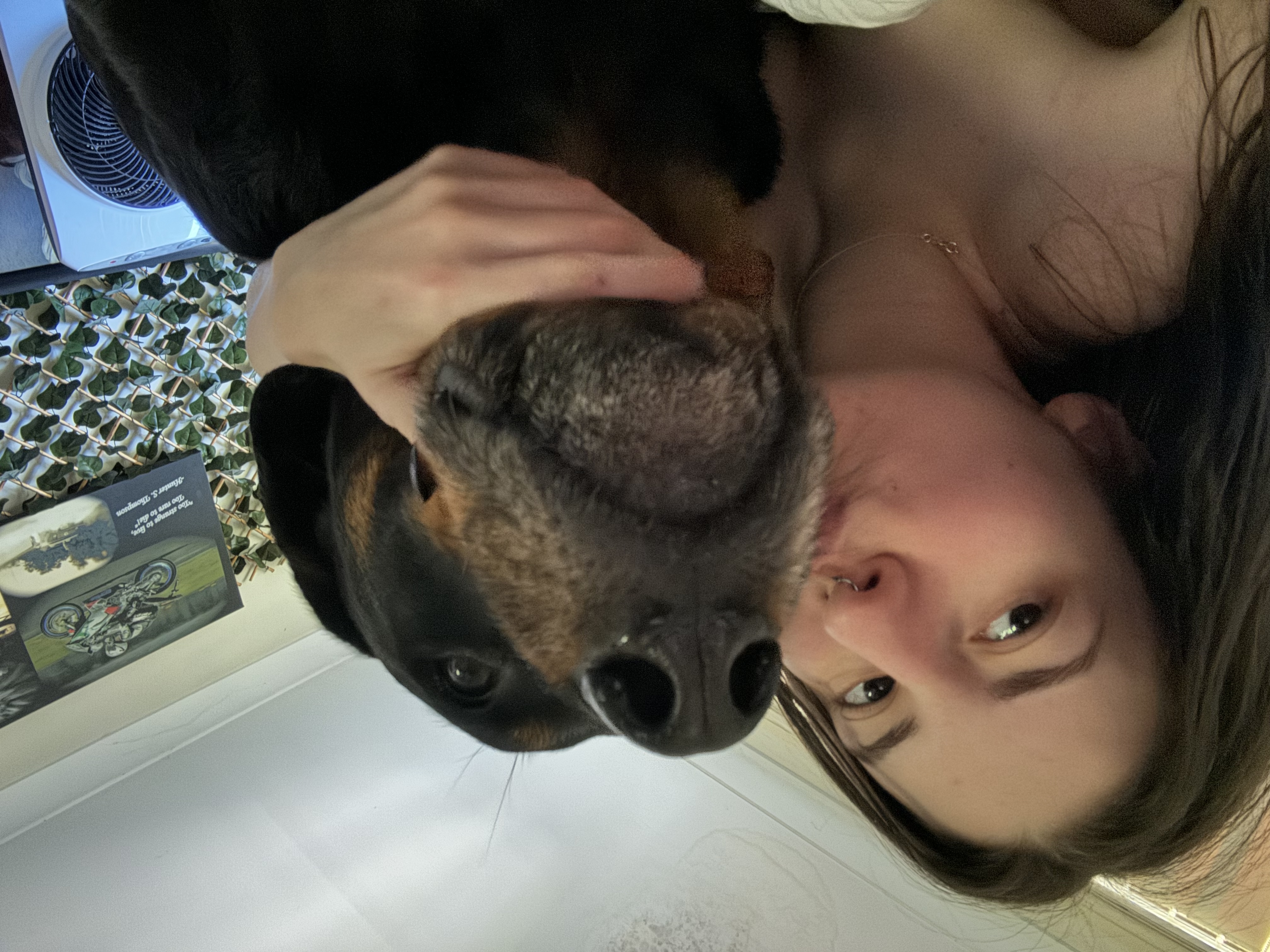 image-7