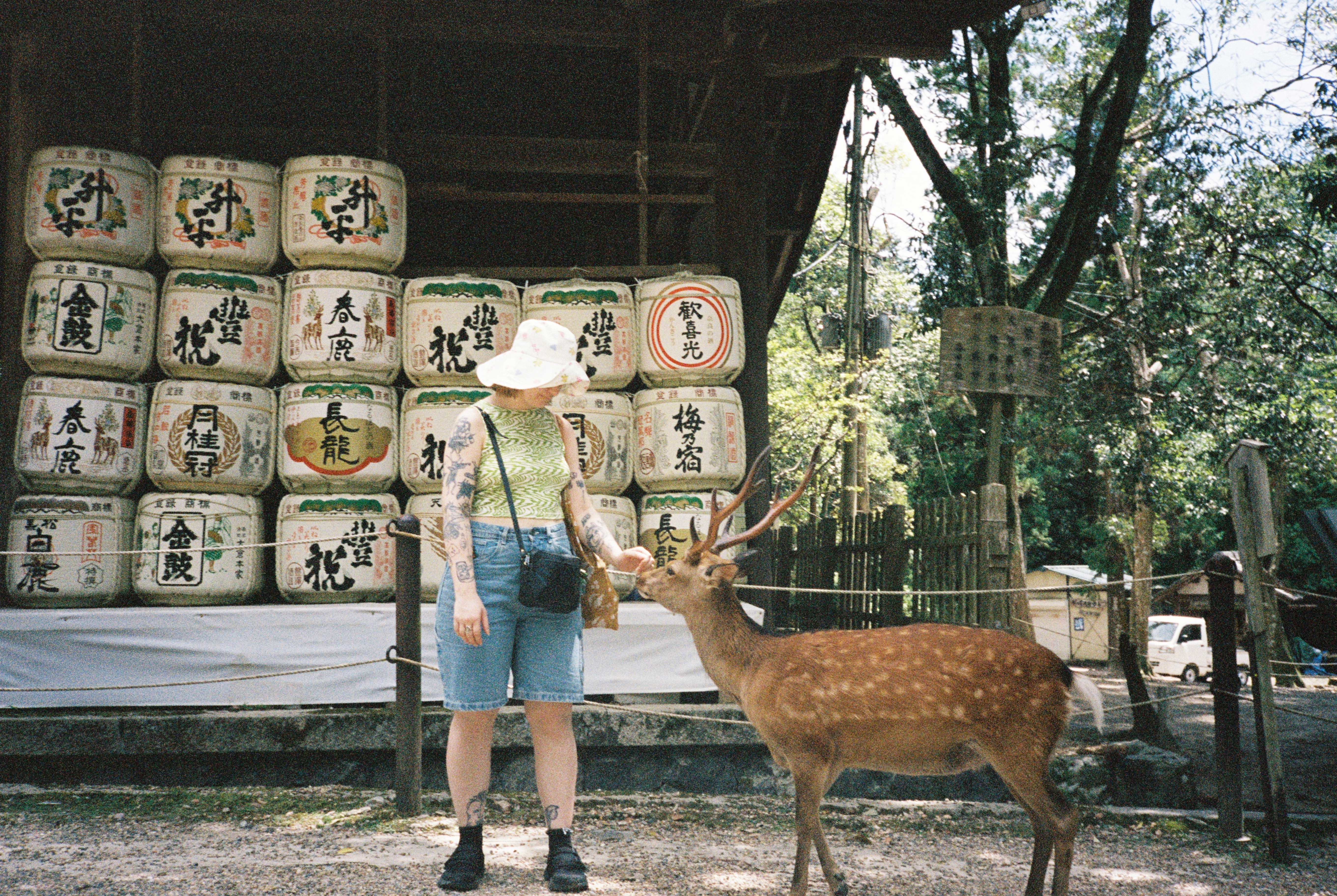 image-12