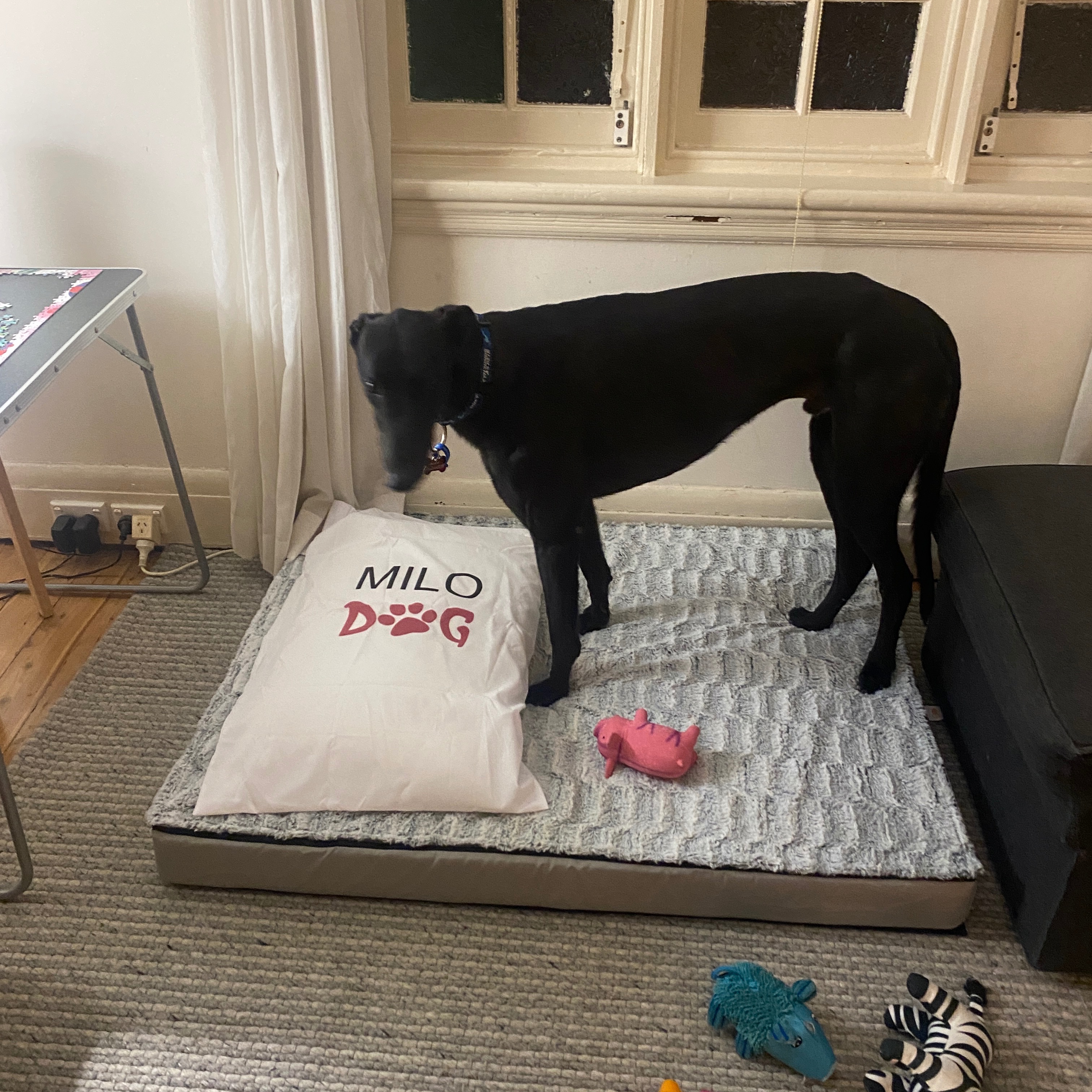 Milo