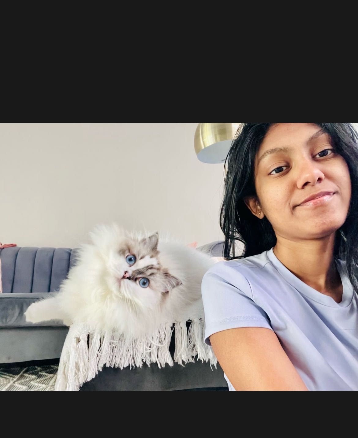 image-22