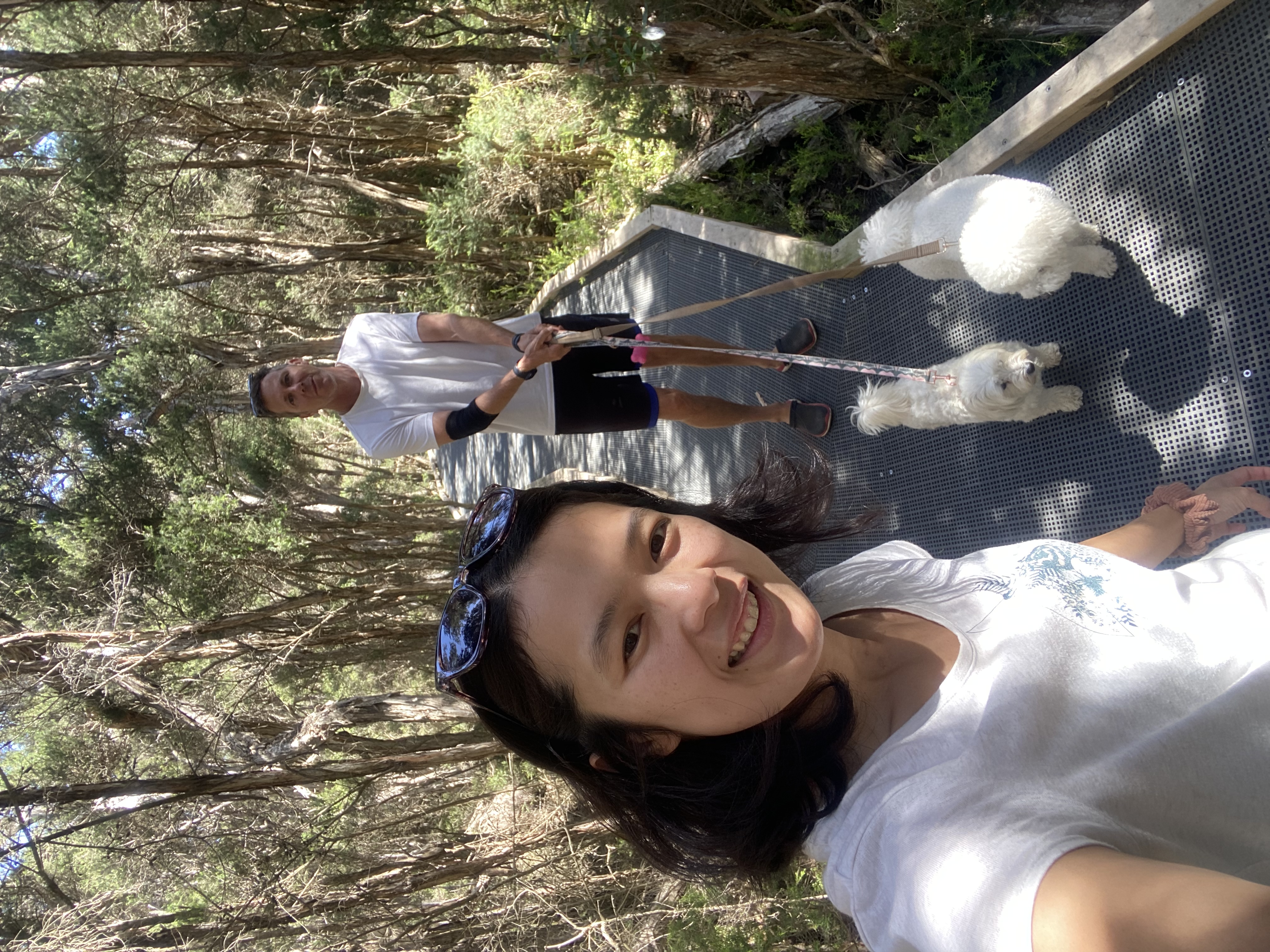 image-0