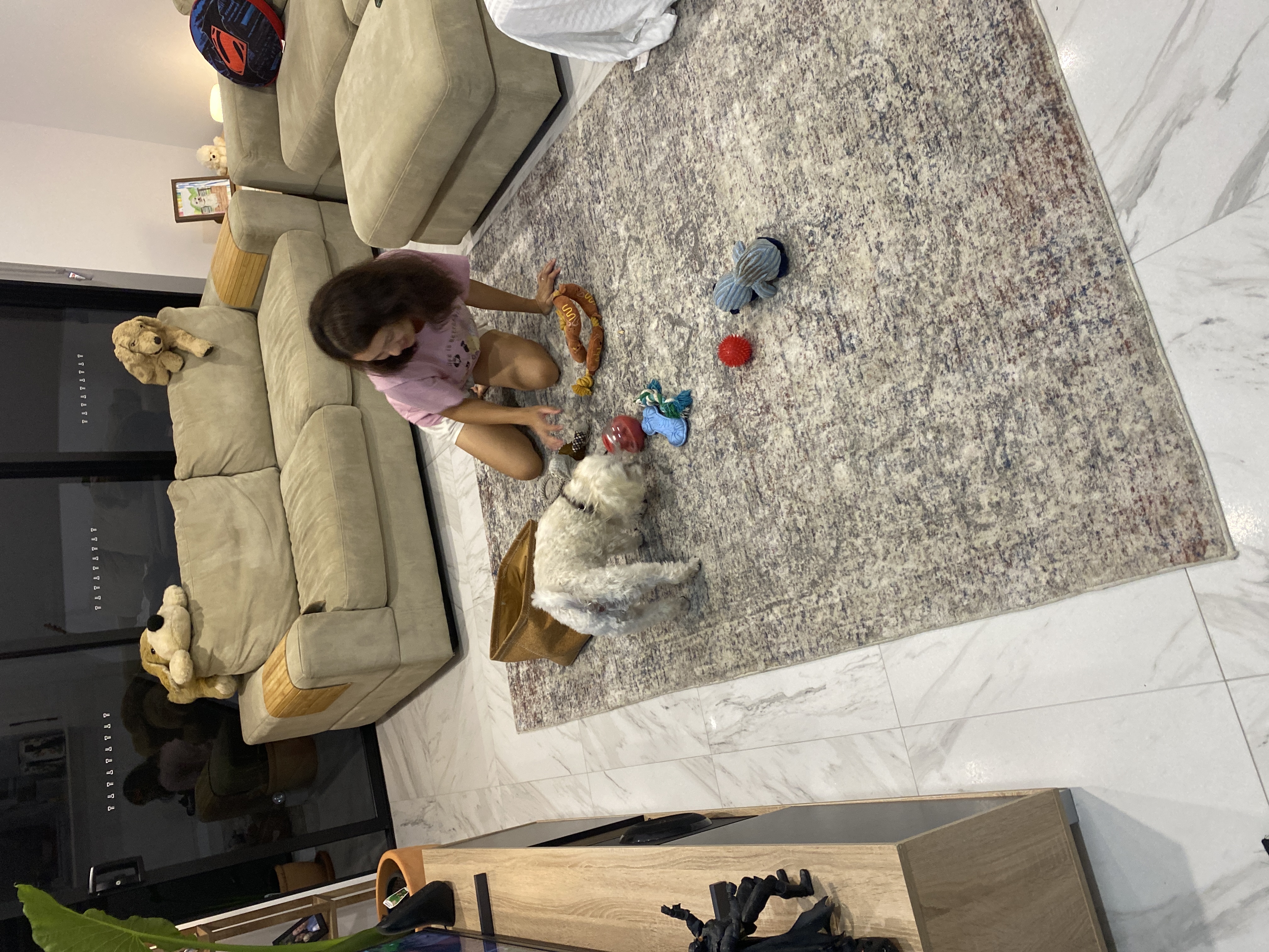 image-20