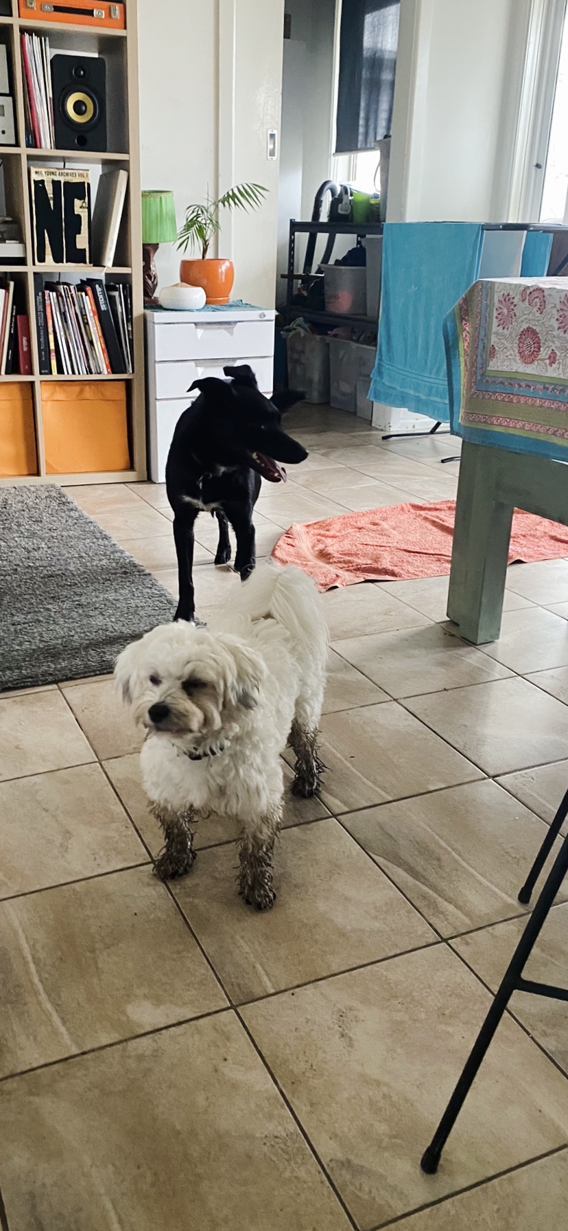 image-14