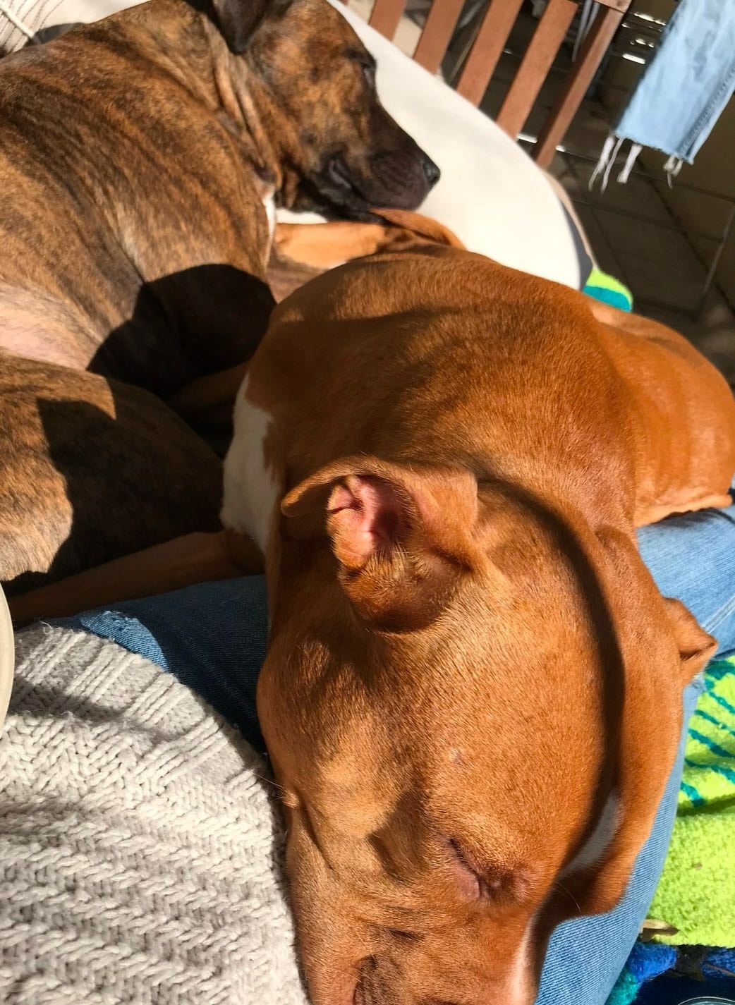 image-4