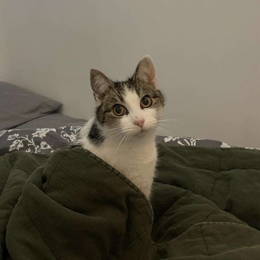 Bella