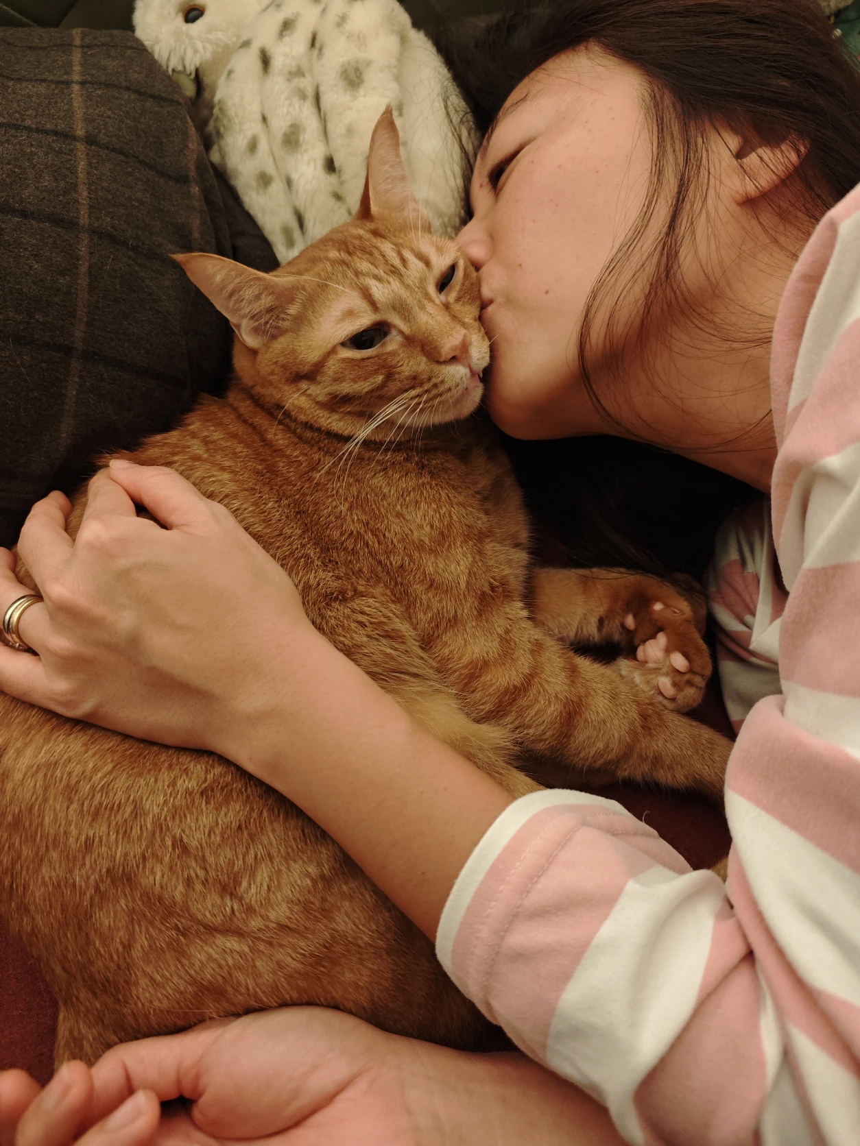 image-7