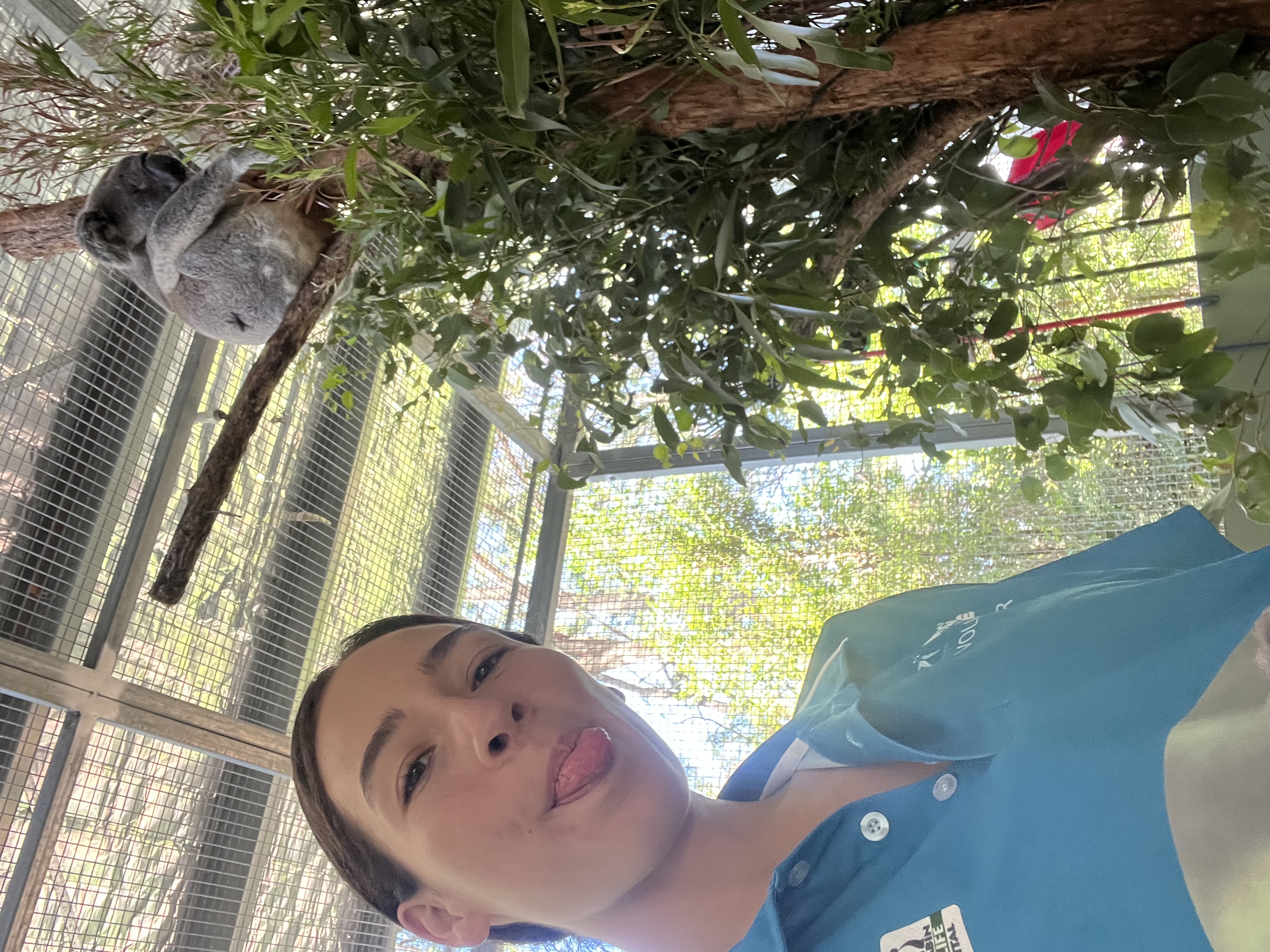 image-11