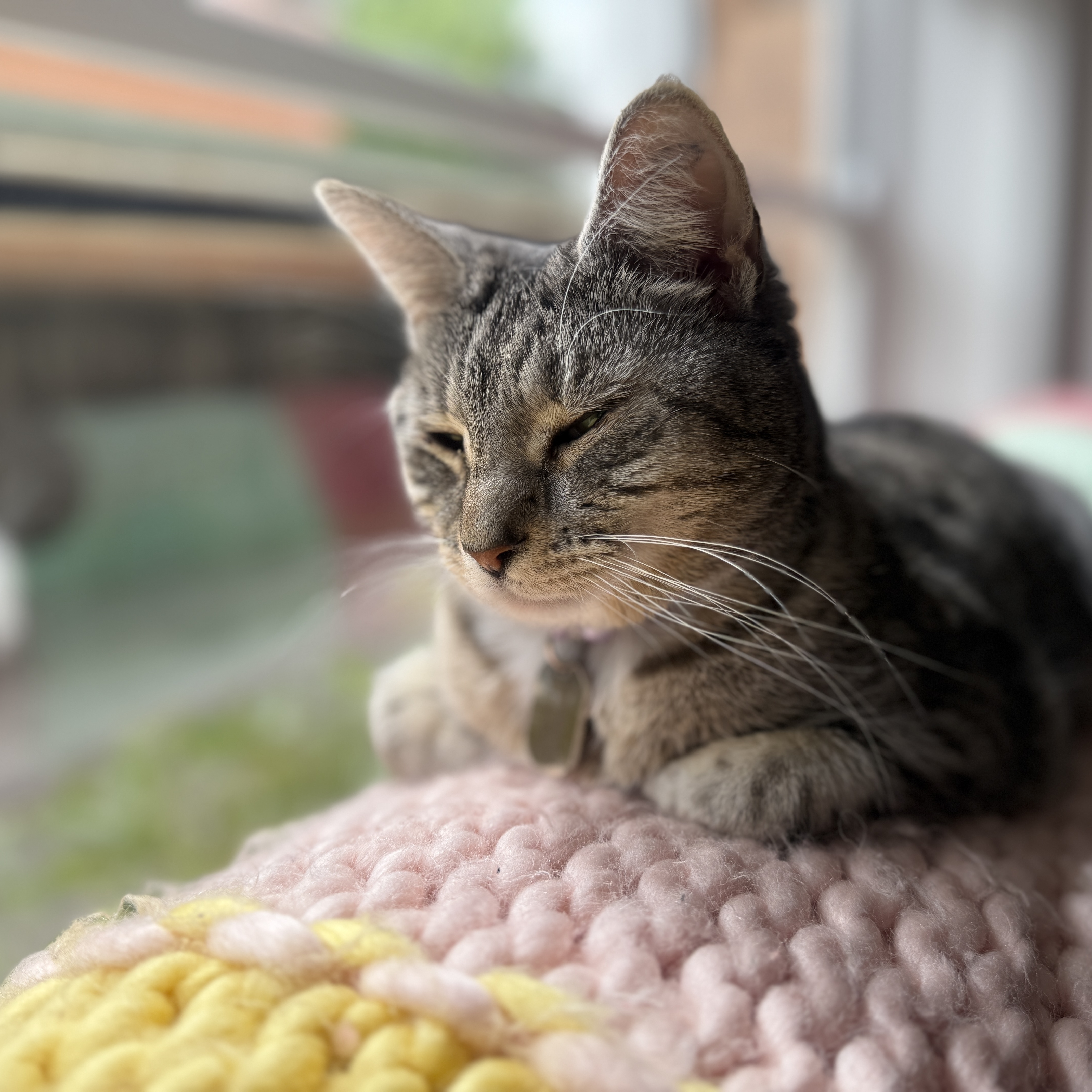 Elton John AKA Reggie