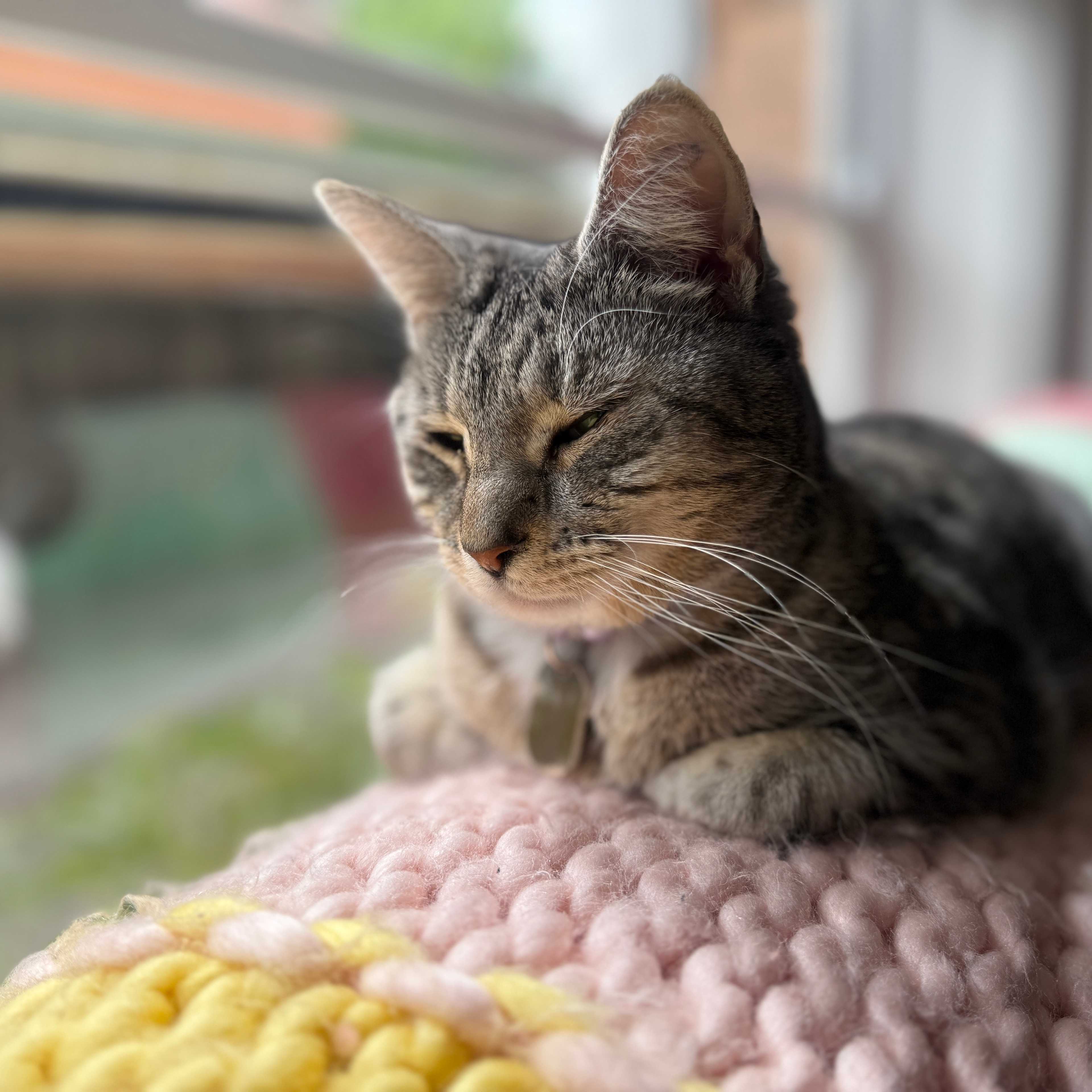 Elton John AKA Reggie