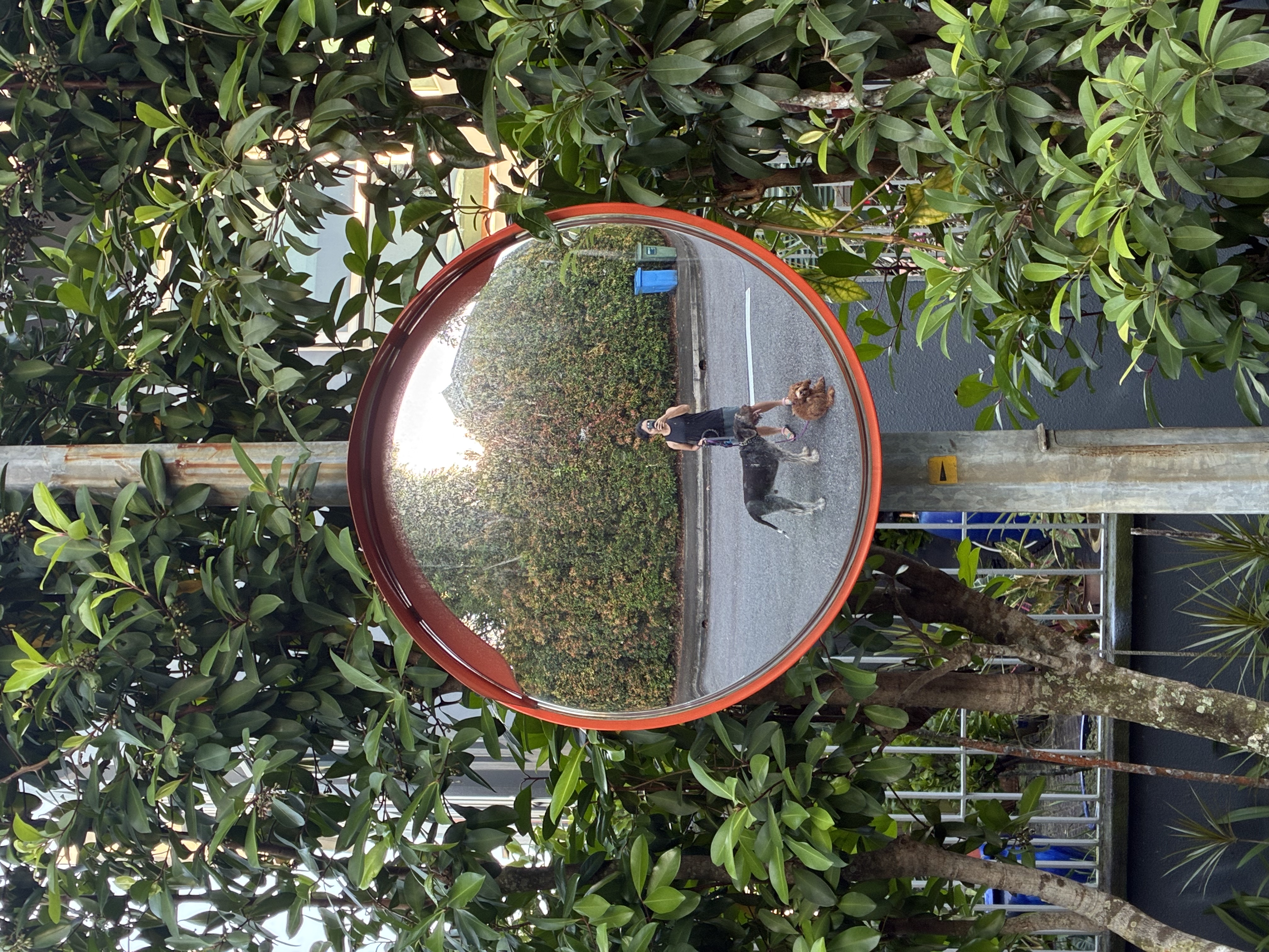 image-6