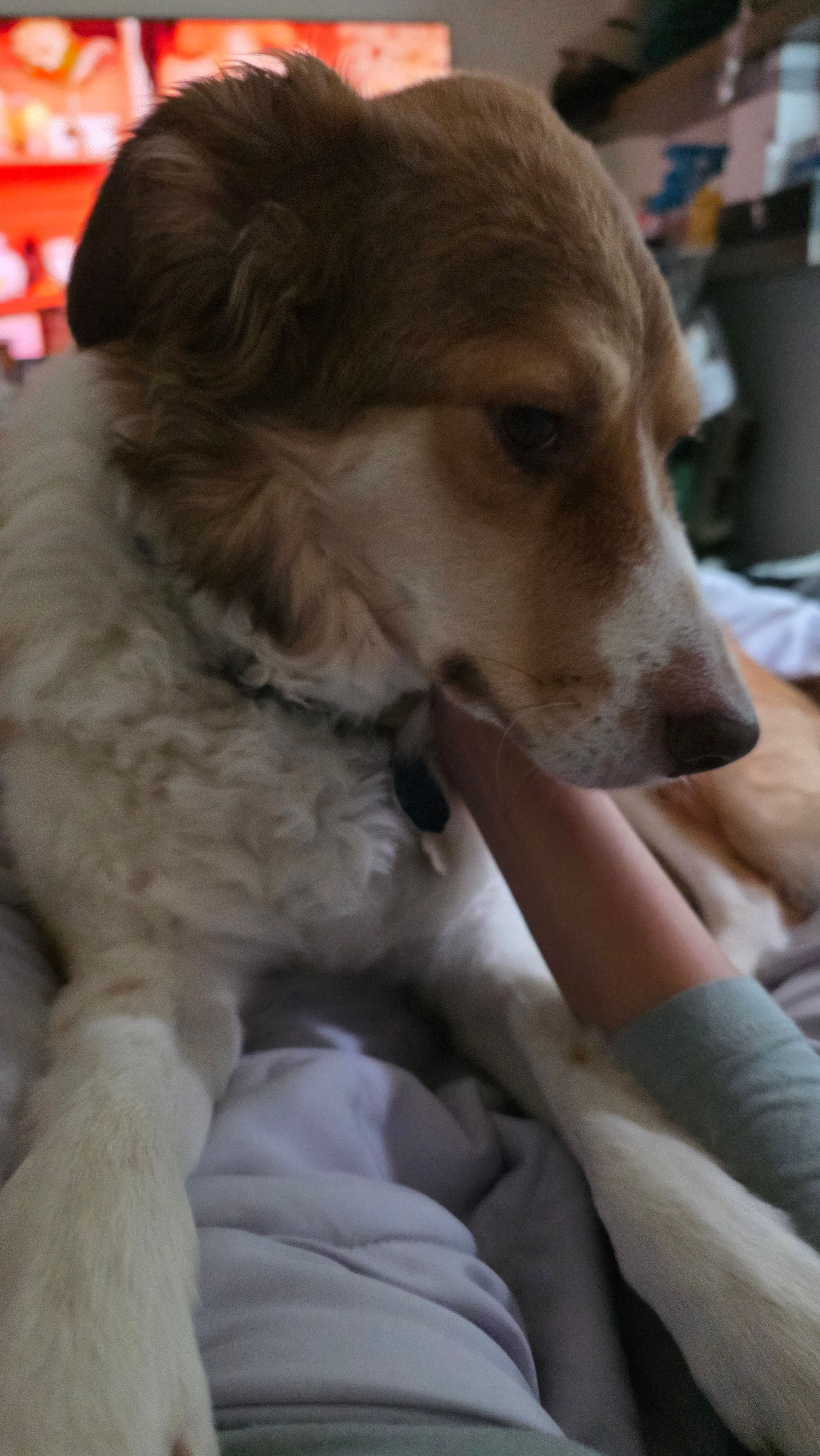 image-9