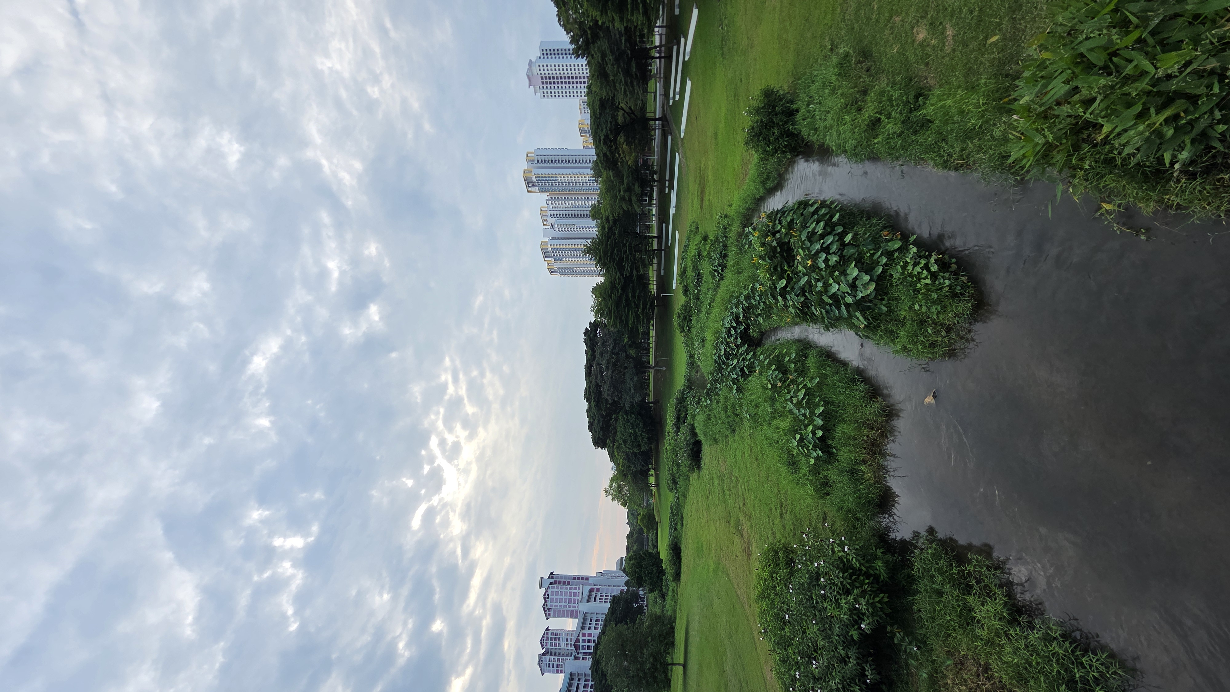 image-23