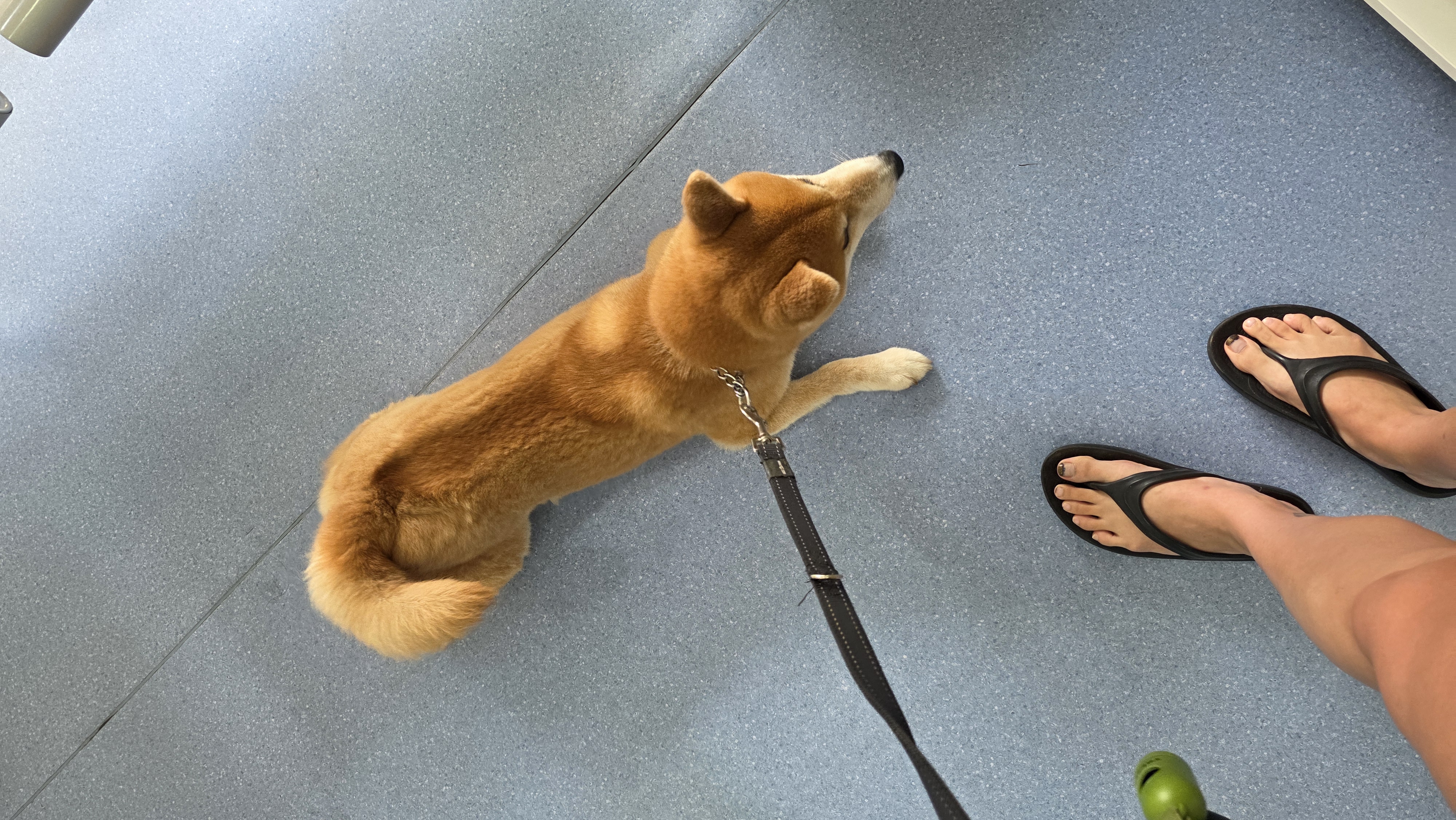 image-12