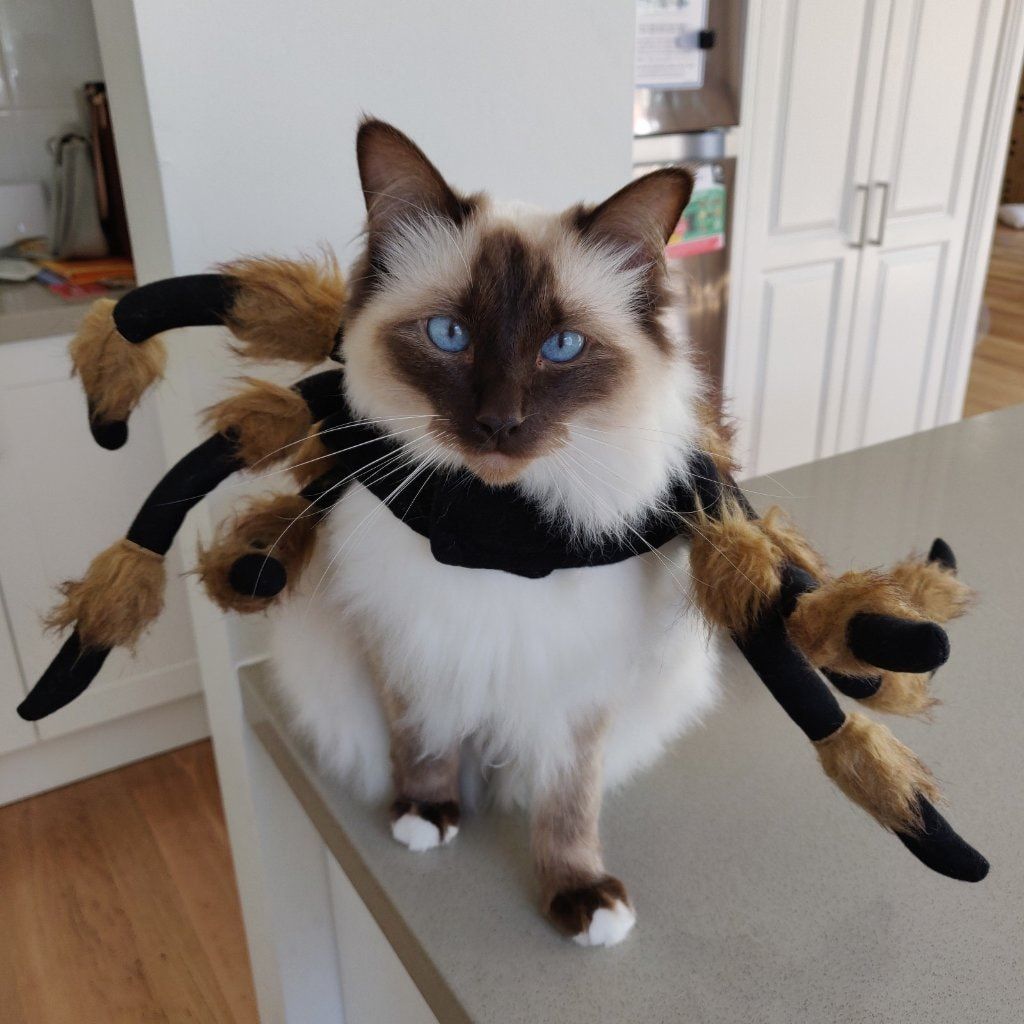 Ori