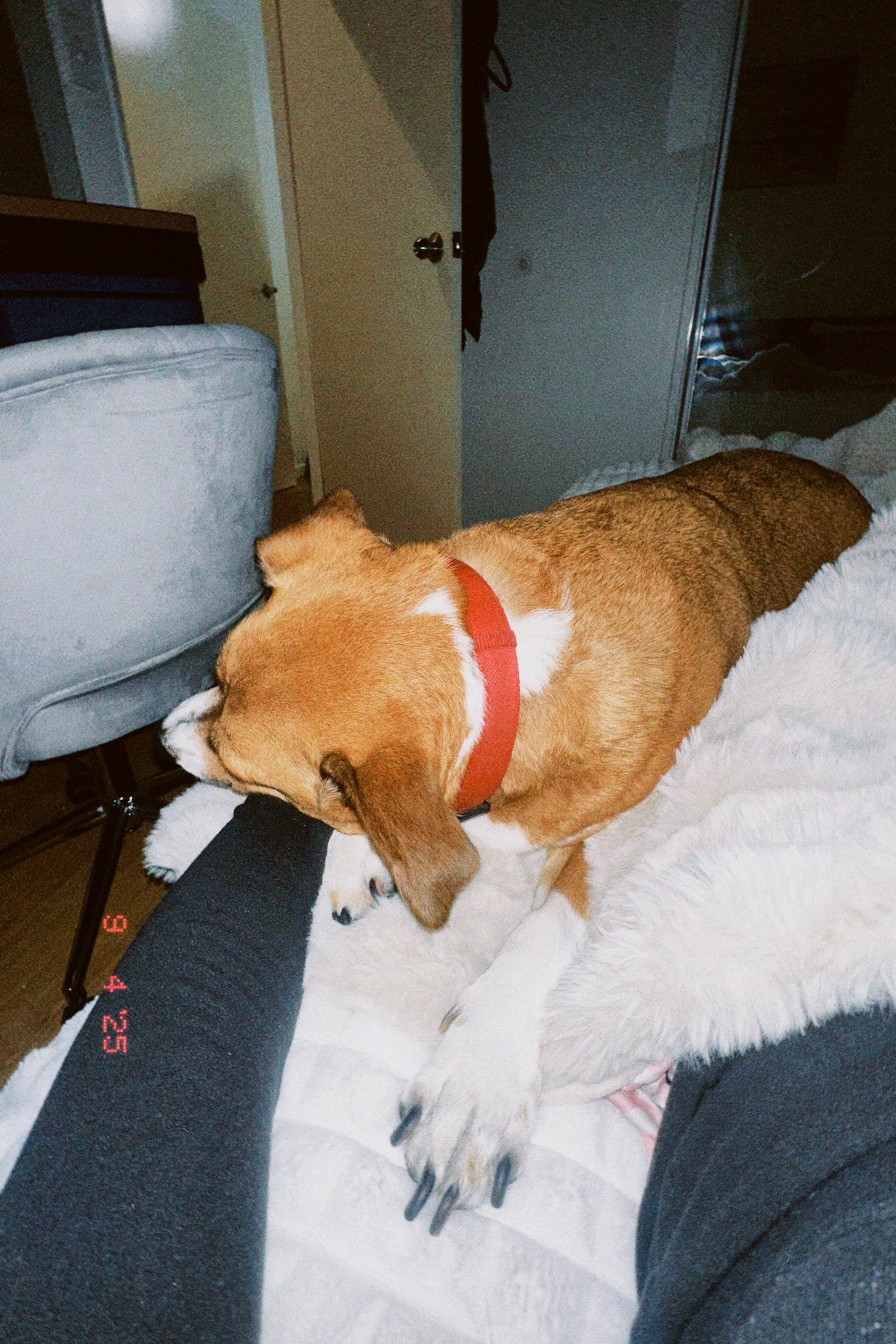 image-6
