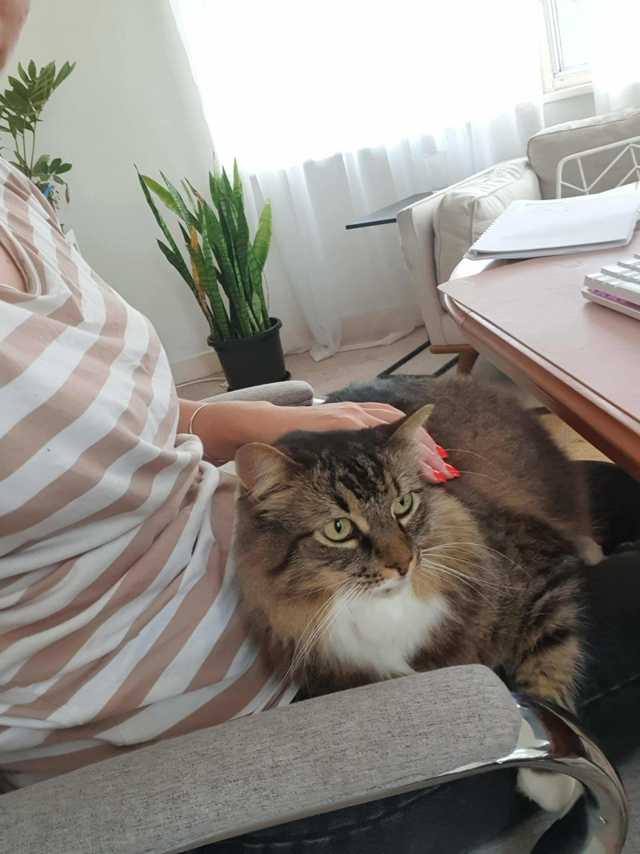 image-12