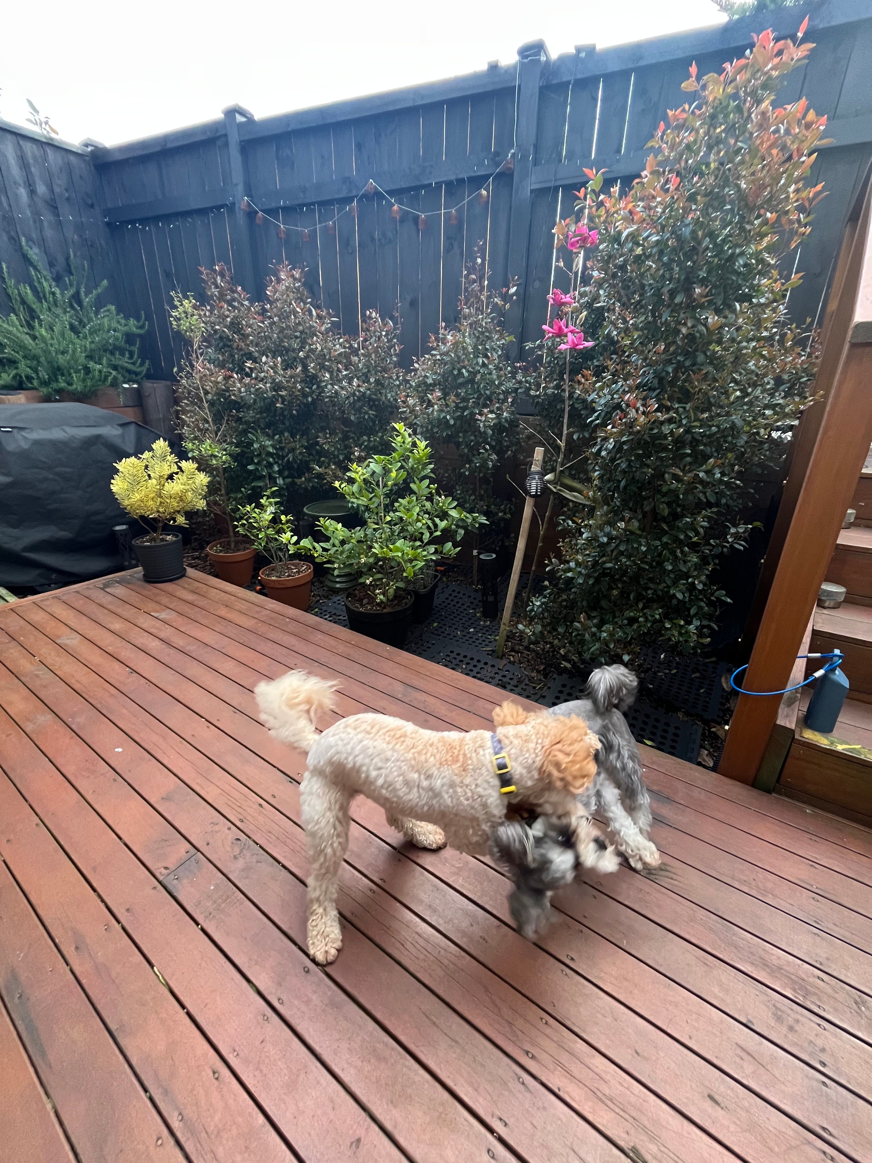 image-17