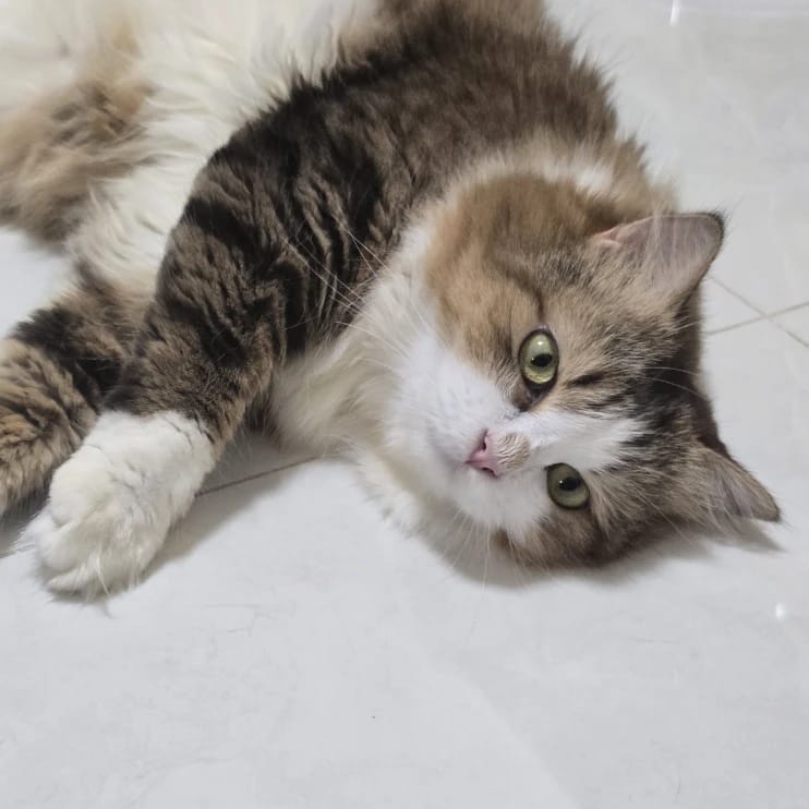 Luna