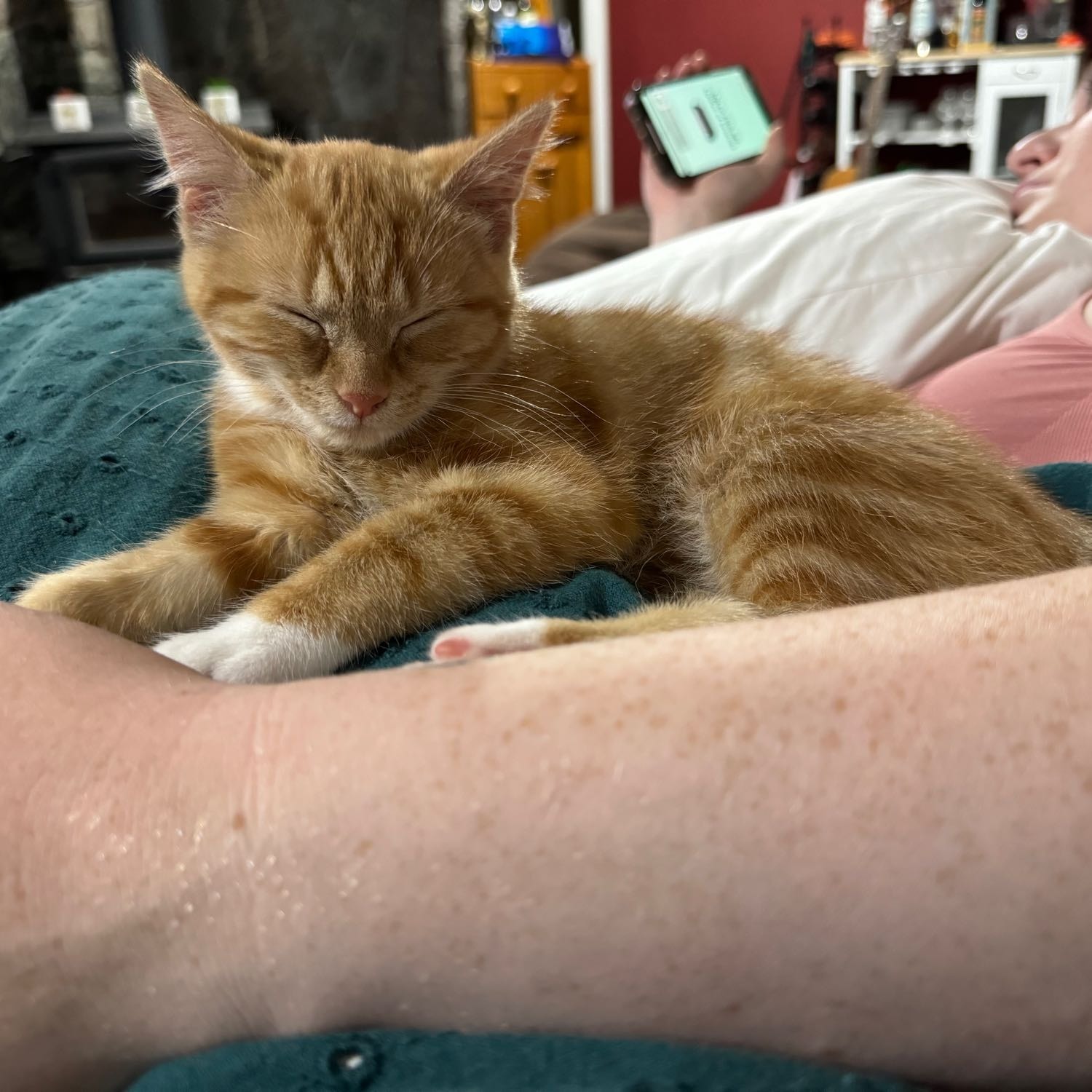 Nemo 