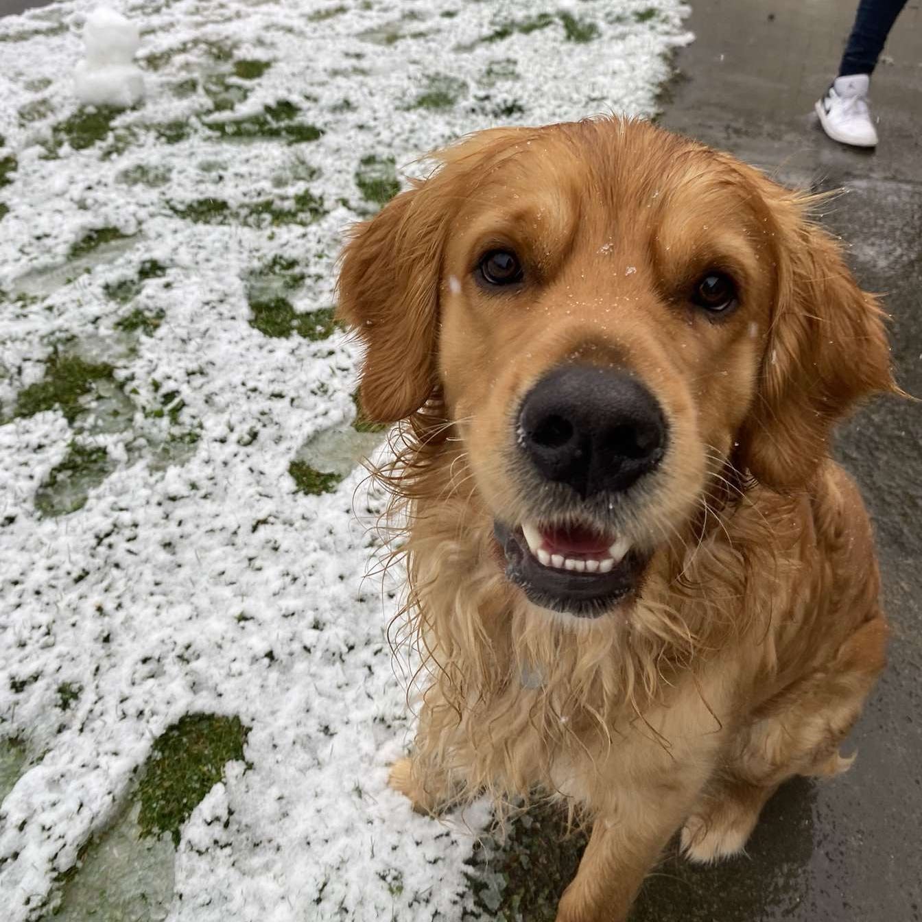 Murphy
