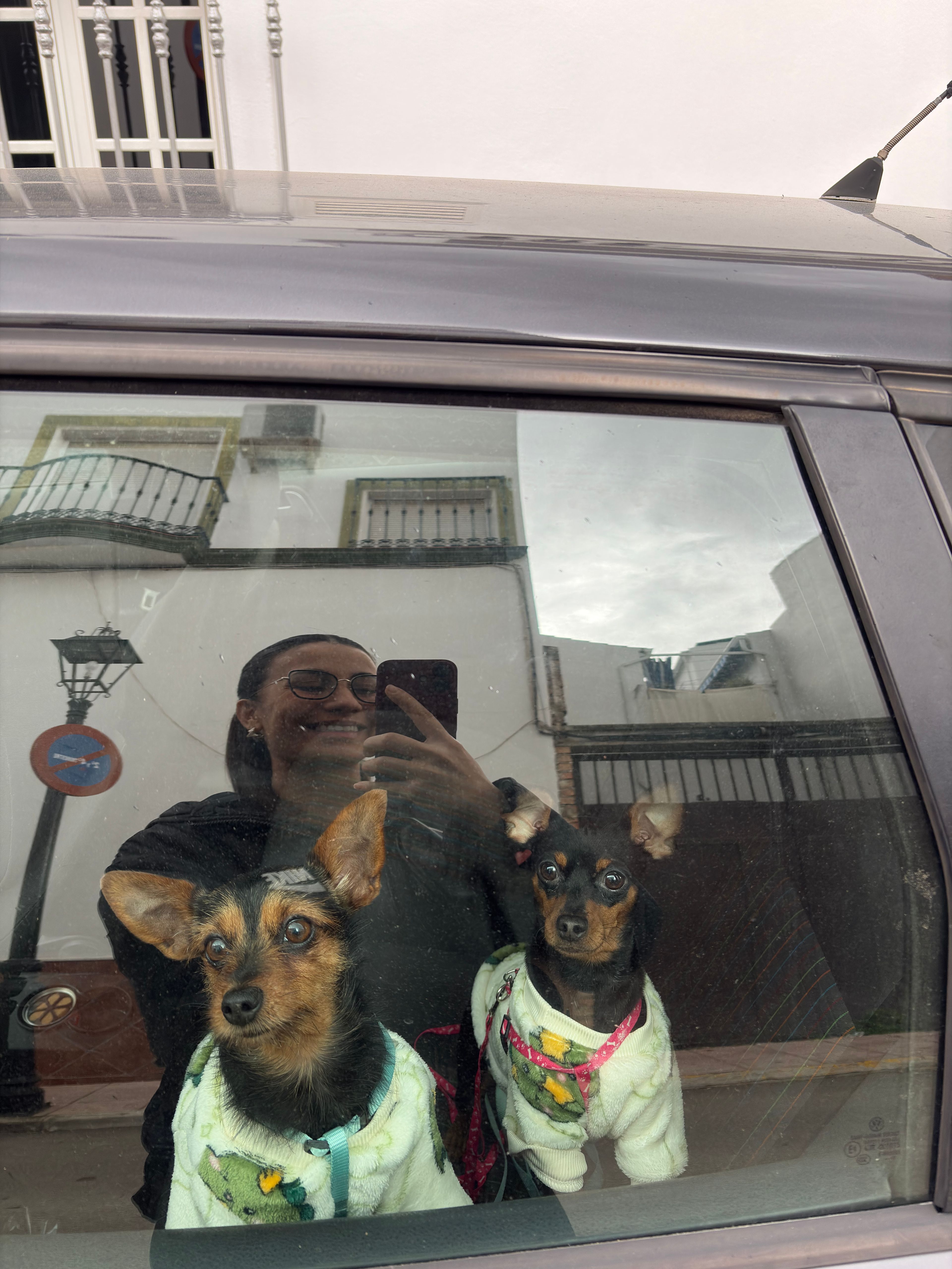 image-8