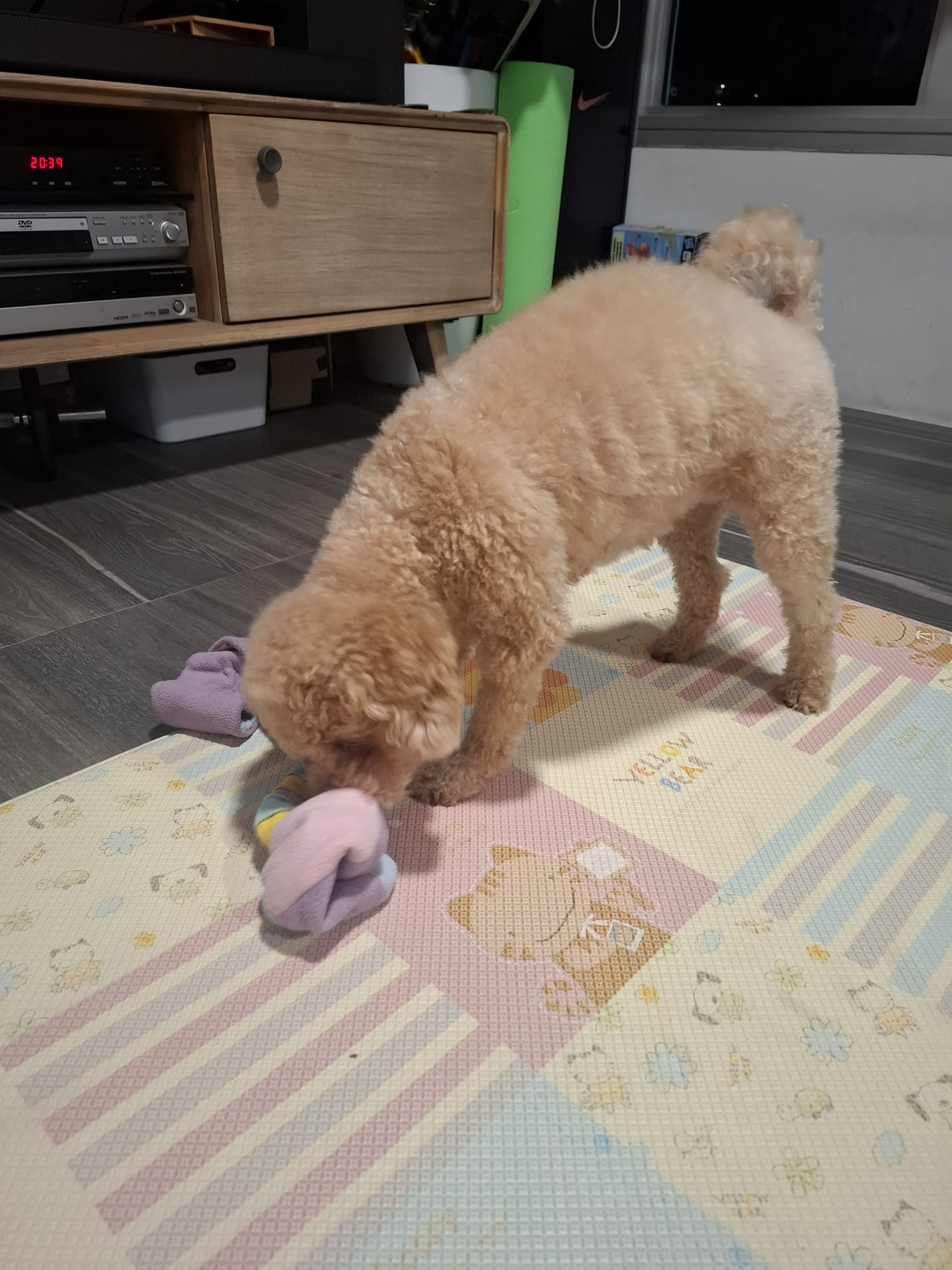 image-8