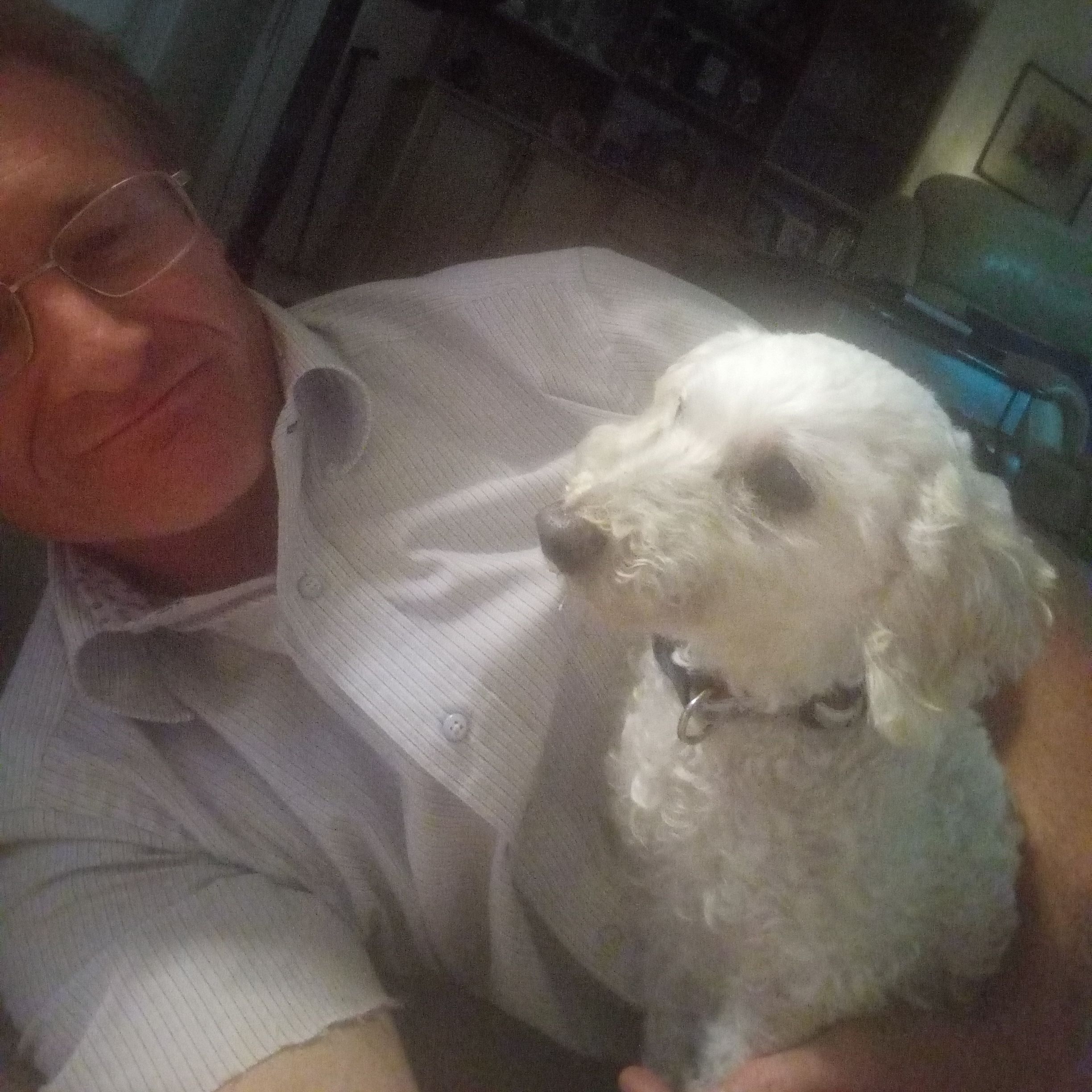 Bowdie