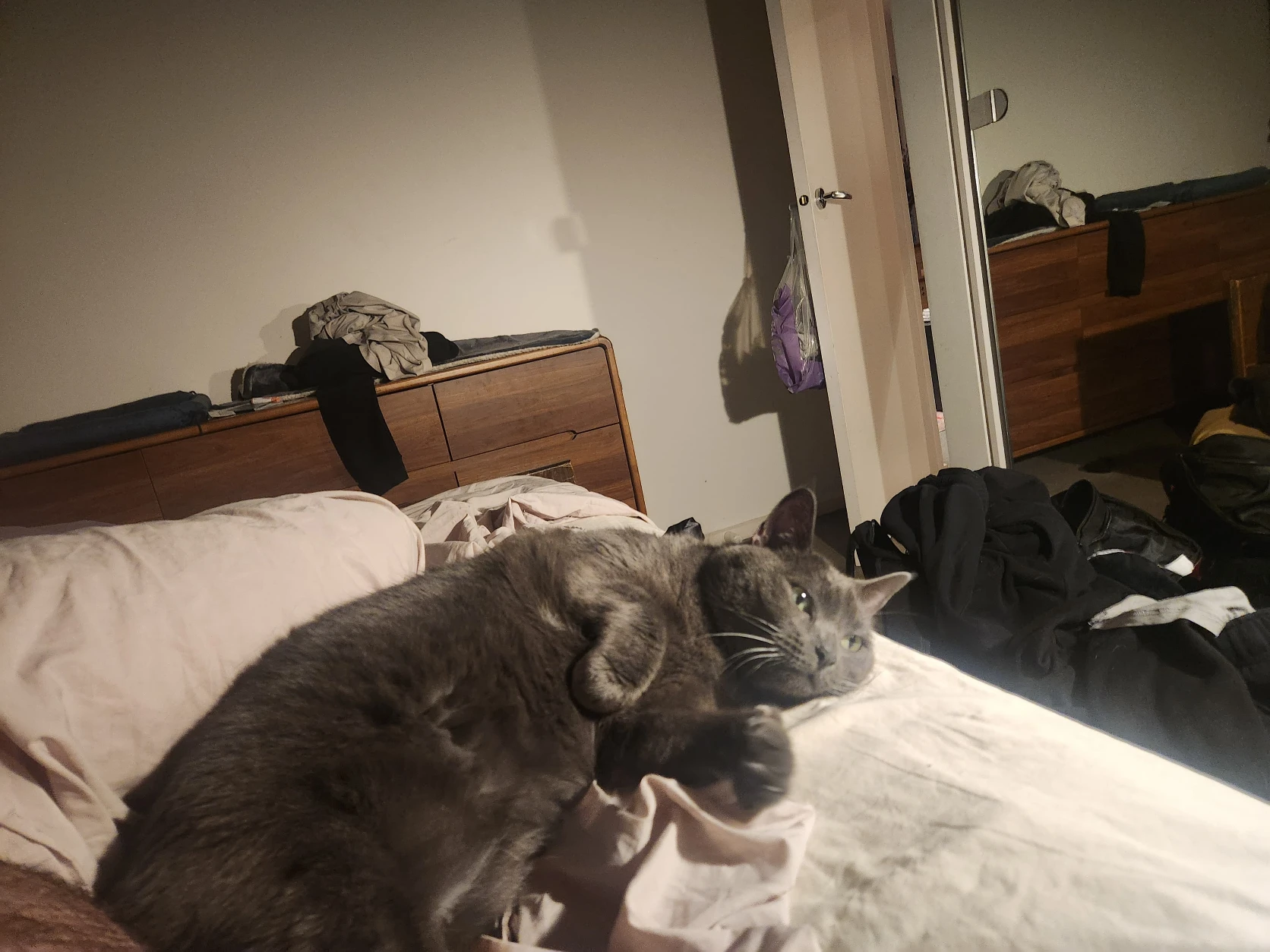 image-7