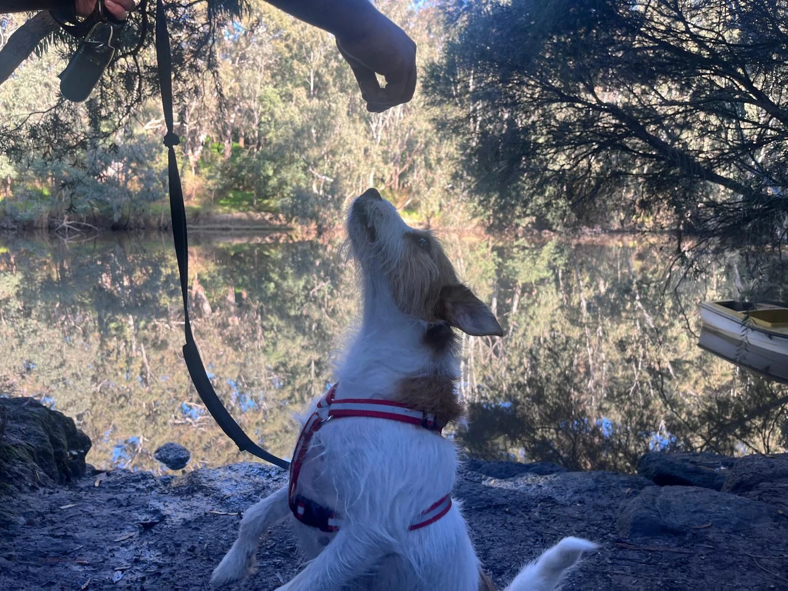 image-5