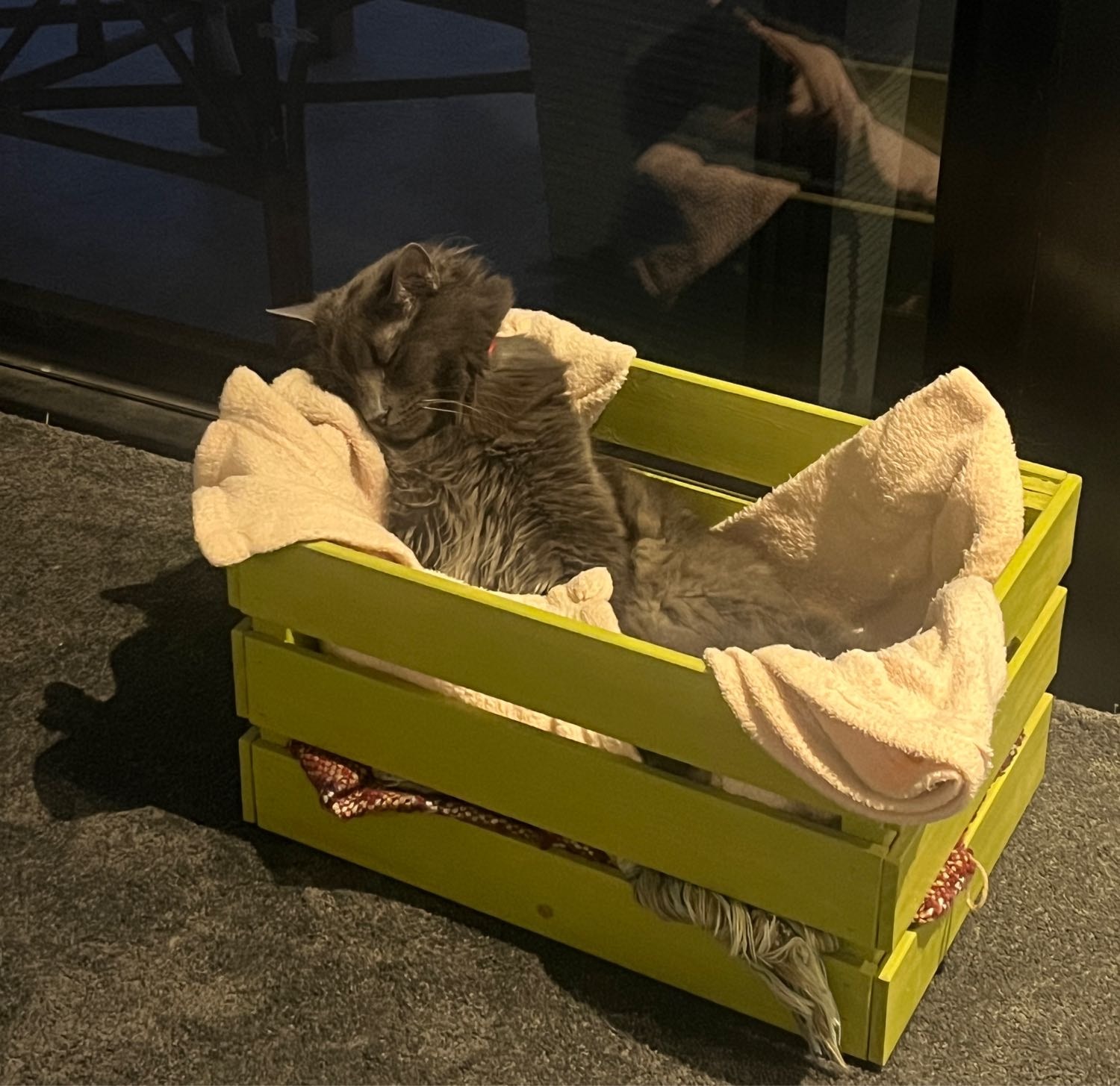 image-10