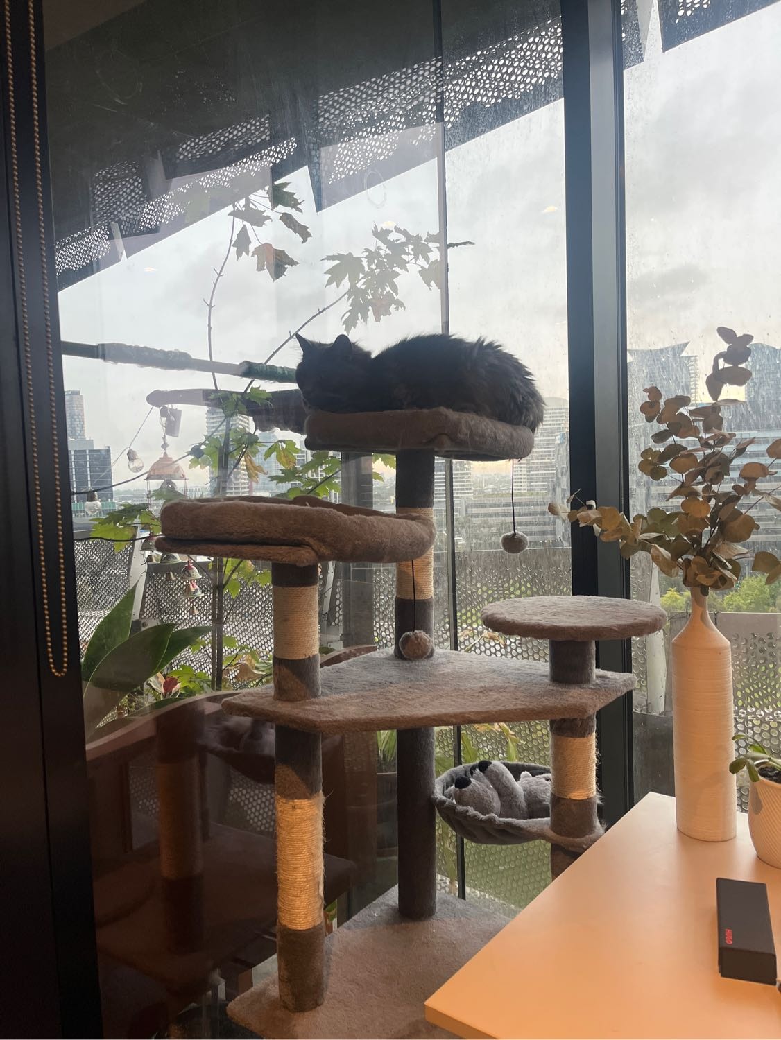 image-8