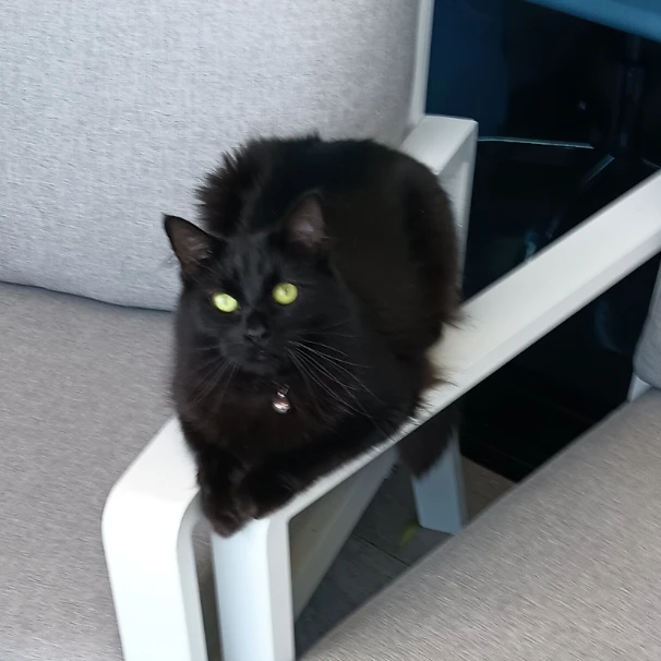 Coco